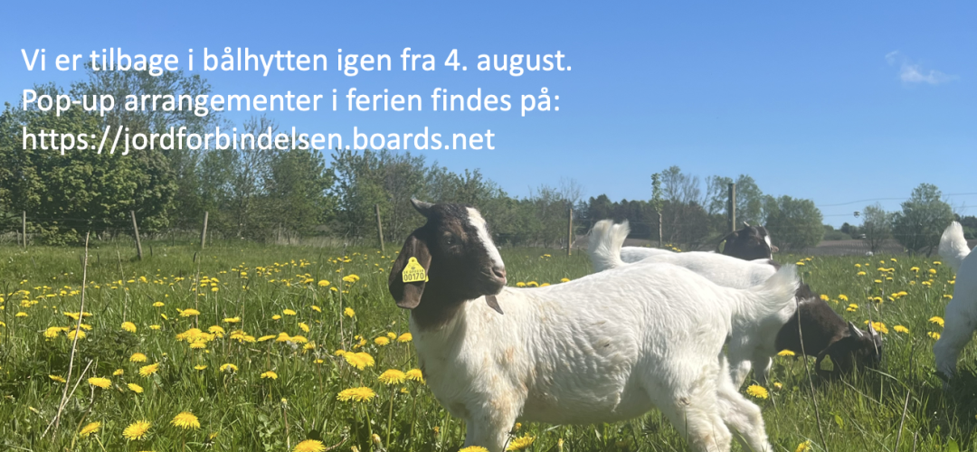 Ugeplan uge 28-31 - 2025 Hjørring