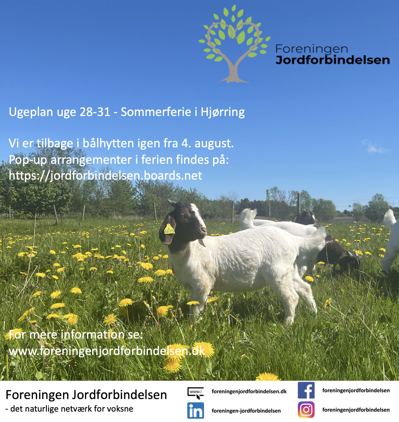 Ugeplan uge 28-31 - 2025 Hjørring