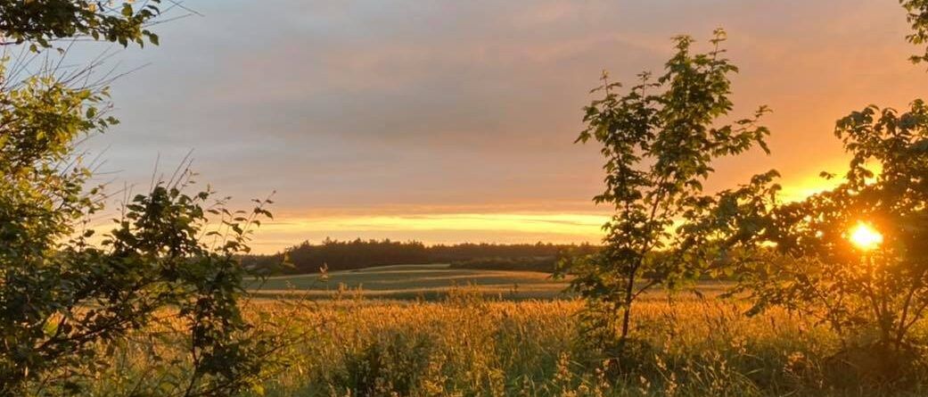 Naturterapi i Vendsyssel - Rodfæste August 2021