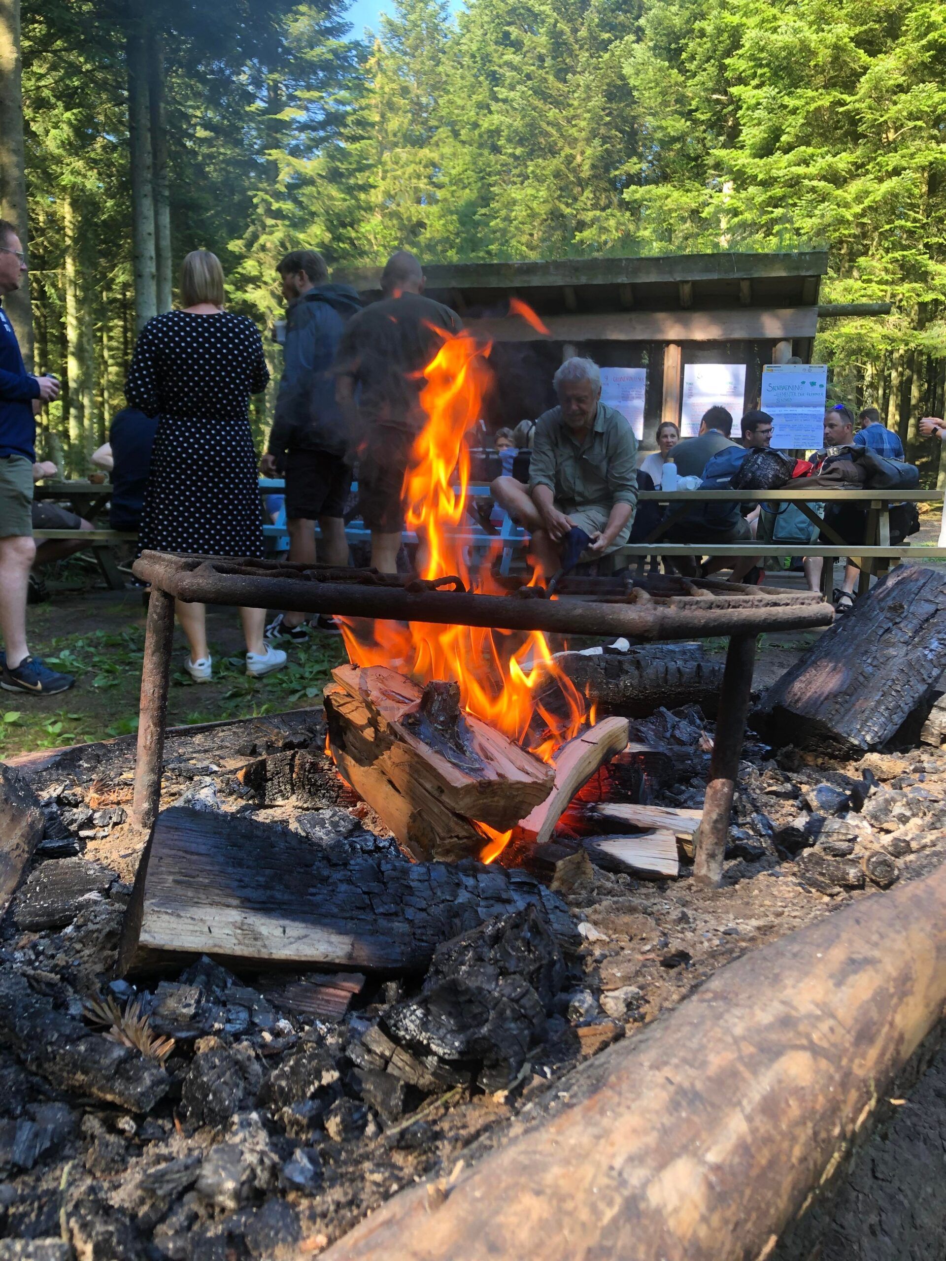 Helt i skoven - Hjørringskolens fagdage