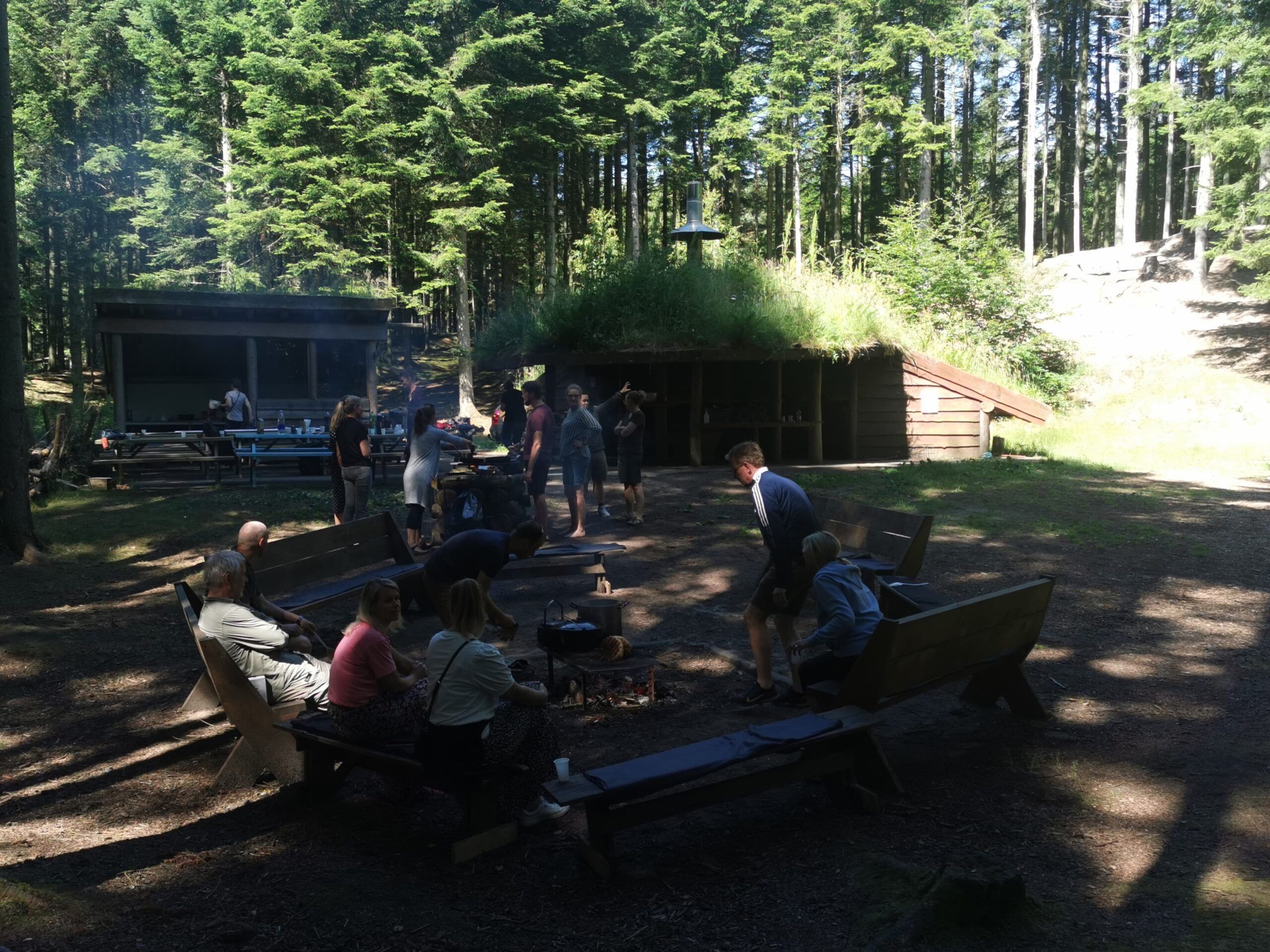 Helt i skoven - Hjørringskolens fagdage