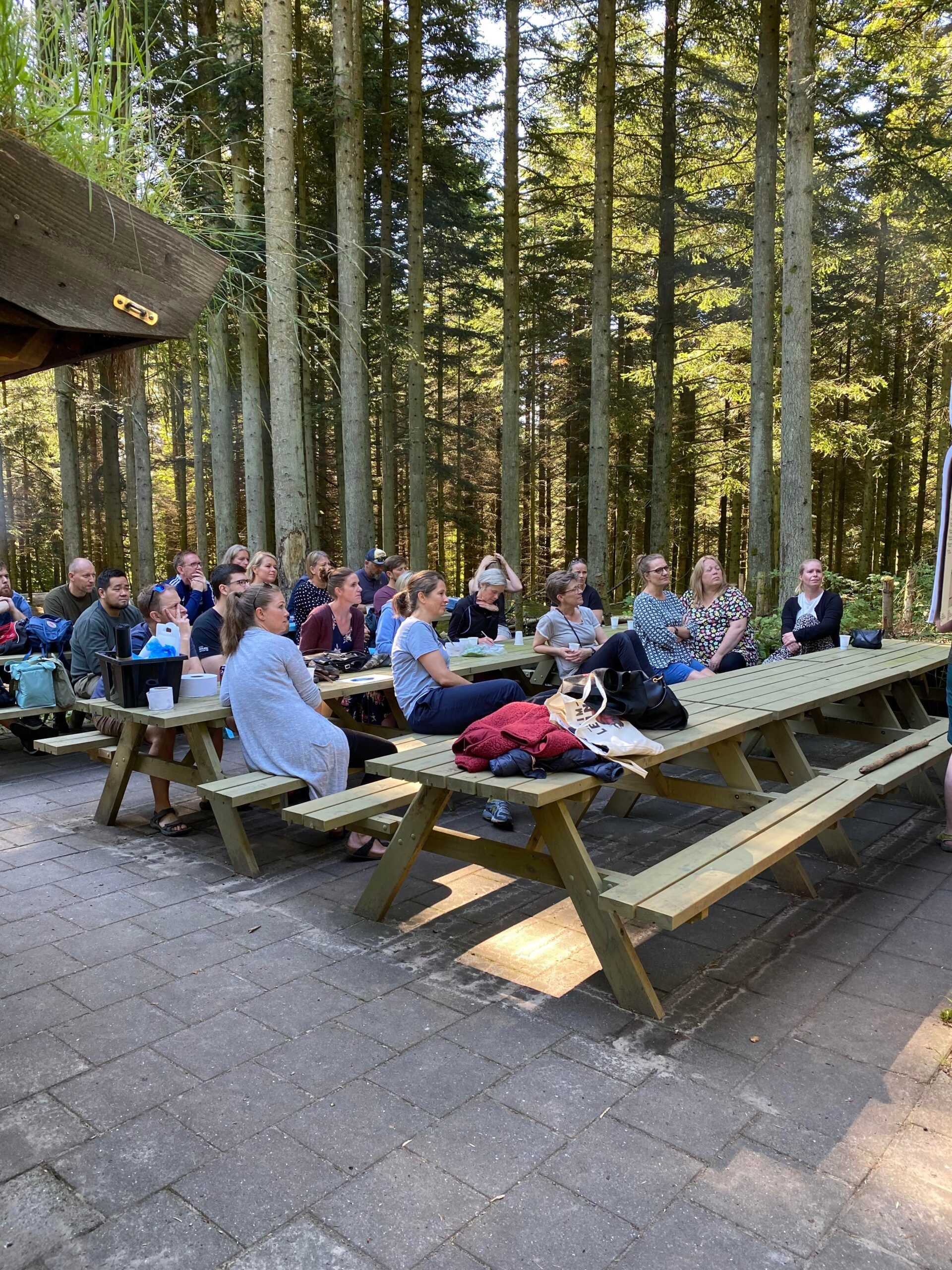 Helt i skoven - Hjørringskolens fagdage