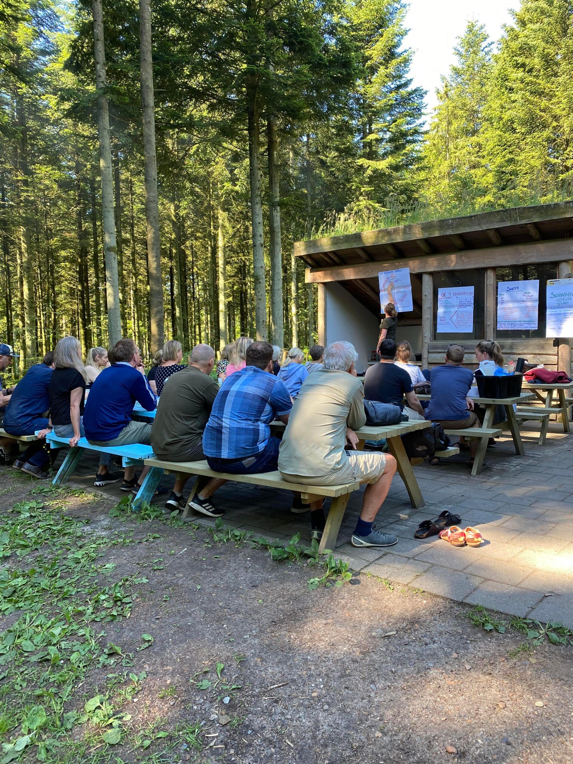 Helt i skoven - Hjørringskolens fagdage