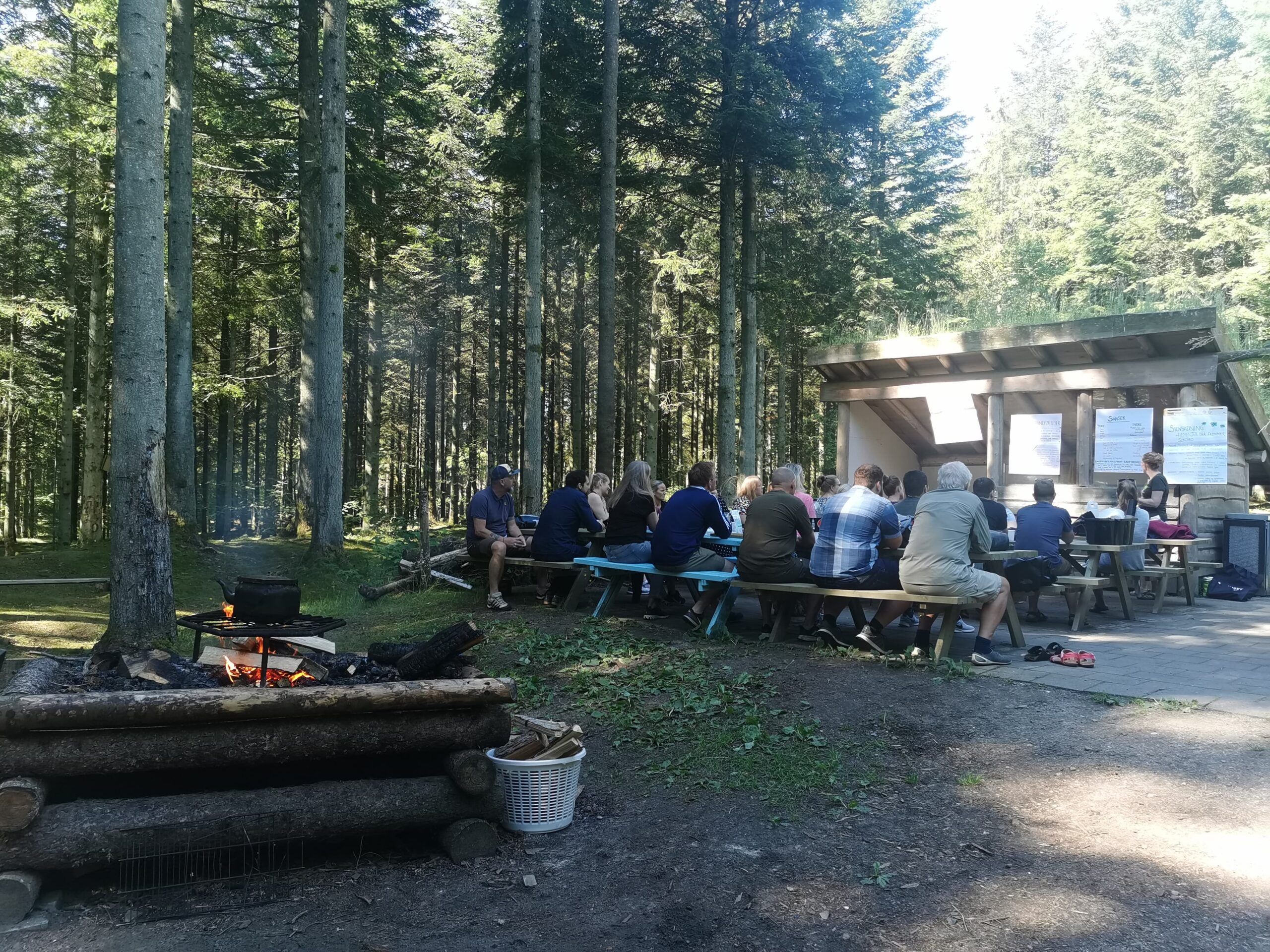 Helt i skoven - Hjørringskolens fagdage