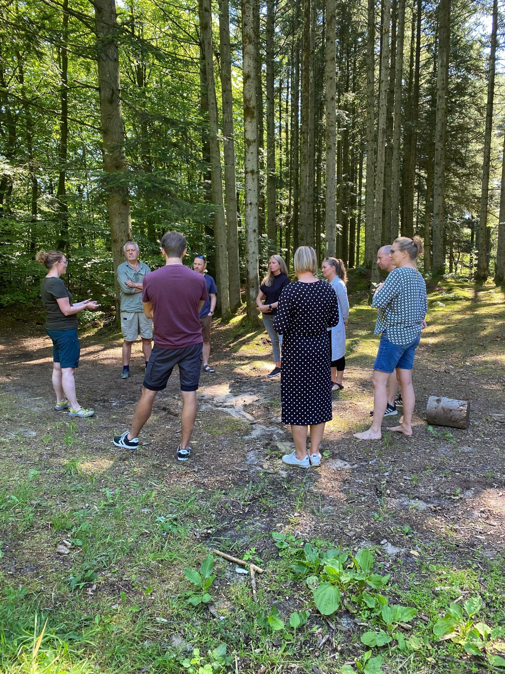 Helt i skoven - Hjørringskolens fagdage