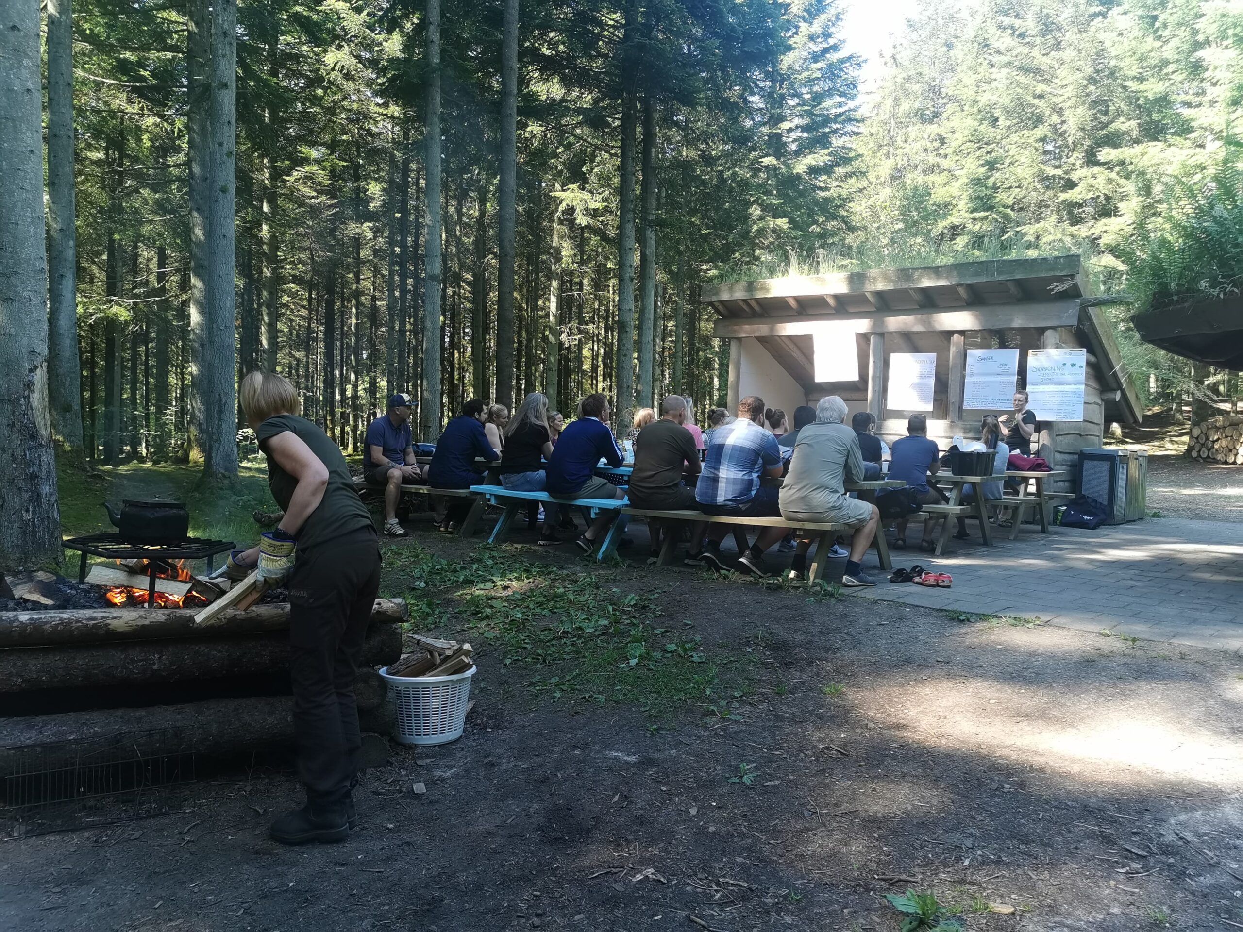 Helt i skoven - Hjørringskolens fagdage