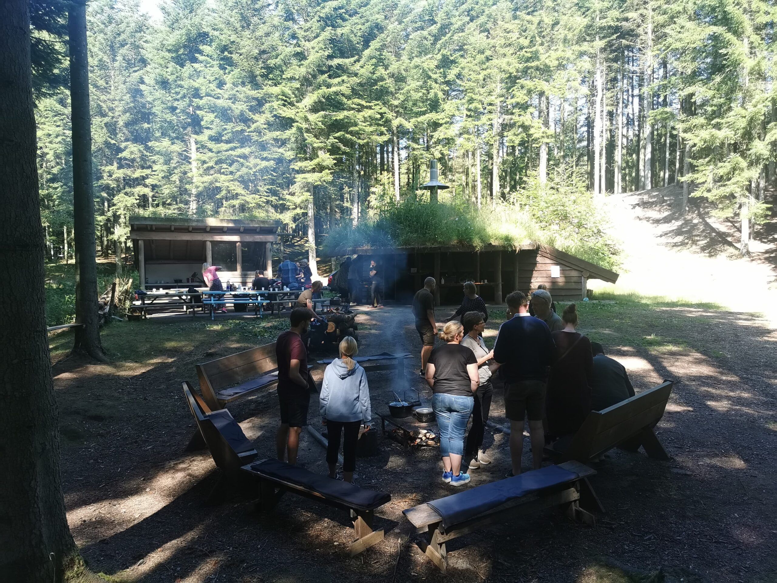 Helt i skoven - Hjørringskolens fagdage