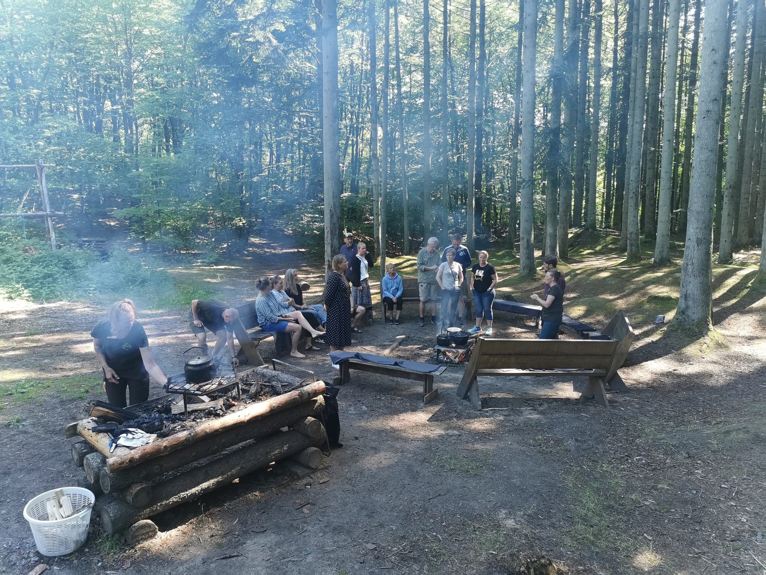 Helt i skoven - Hjørringskolens fagdage