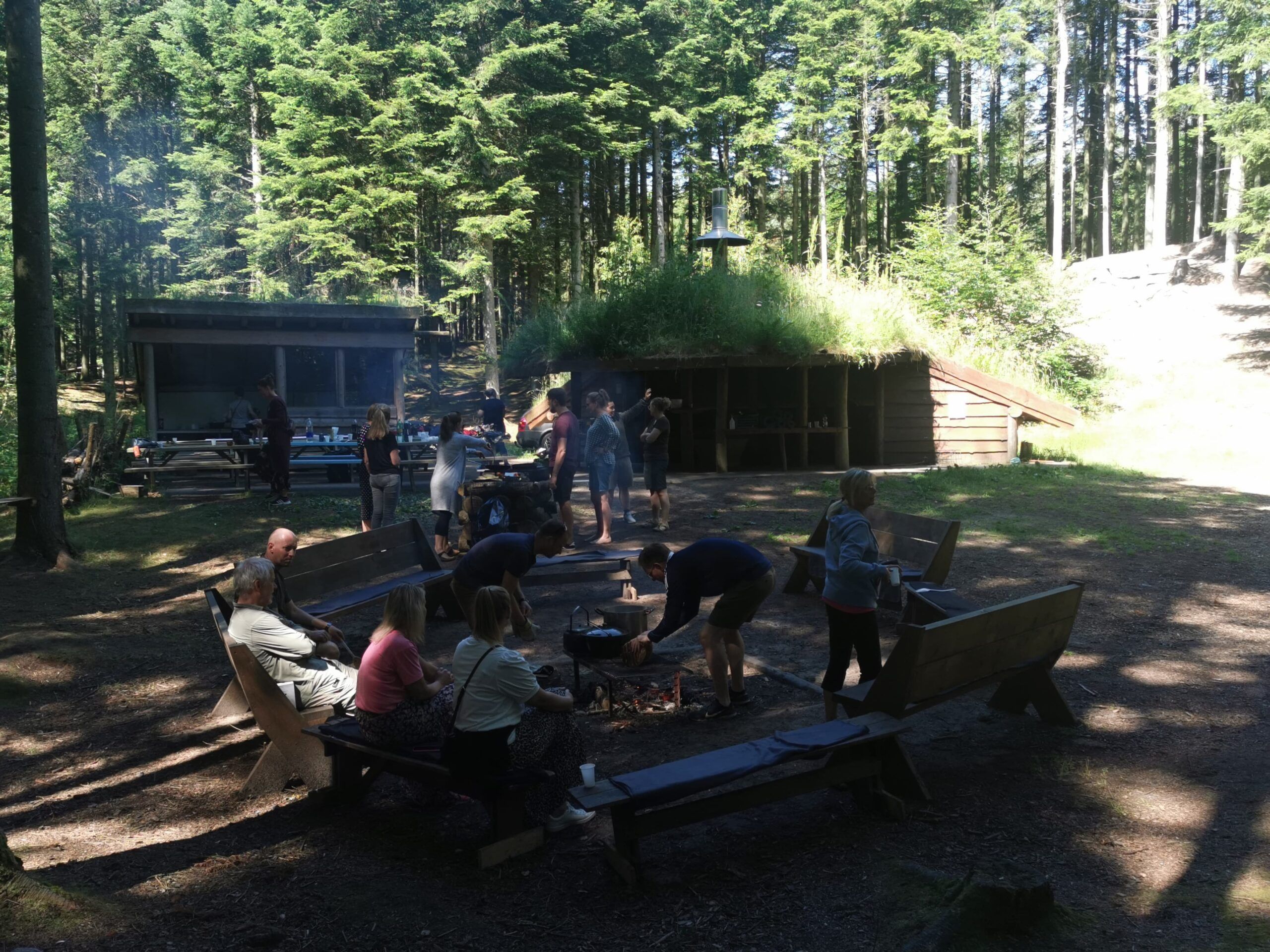 Helt i skoven - Hjørringskolens fagdage