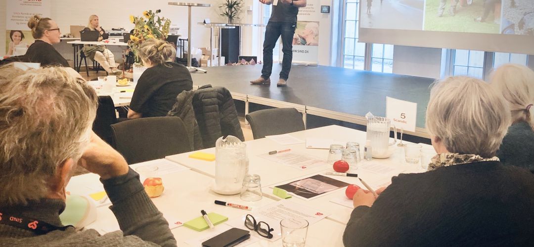 Oplæg på Frivilligkonference ved SIND