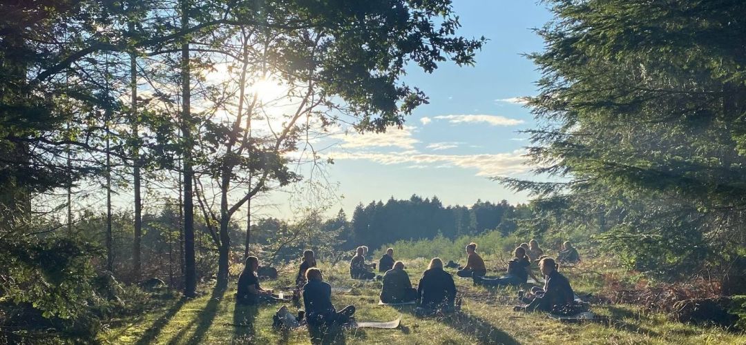 RO i Knolden - Naturforløb i Aalborg for mennesker med senfølger efter hjernerystelse