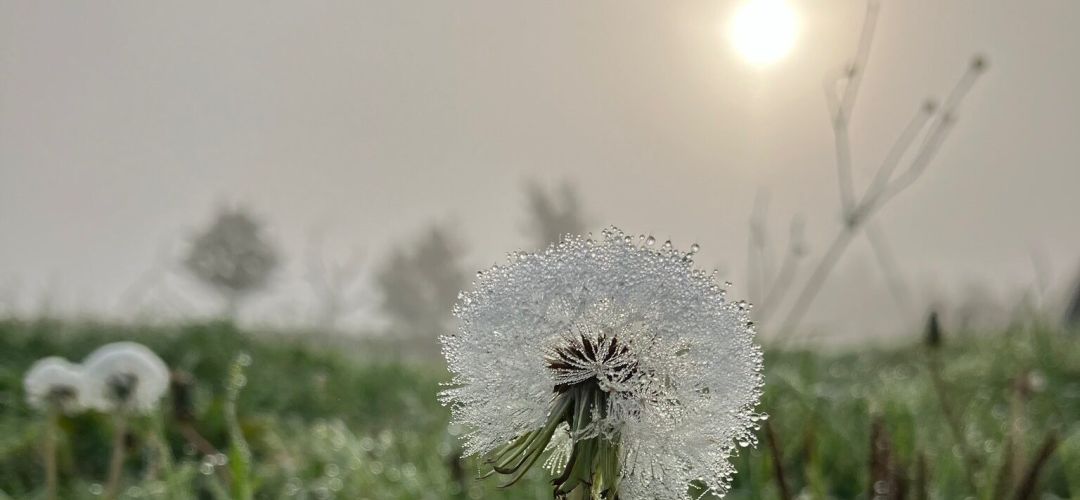 En god start på dagen - NADA-café
