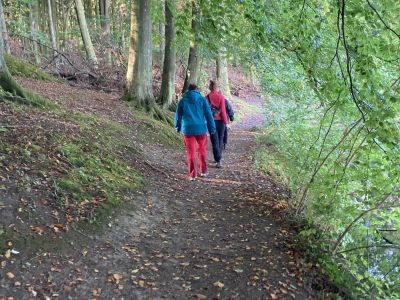 Rodfæste - Kursus for kvinder, der har brug for at vende tilbage til hverdagen efter en livskrise som følge af eksempelvis stress, angst, depression, skilsmisse, kræft, hjerte-kar-sygdom, smerte, overvægt eller diabetes.