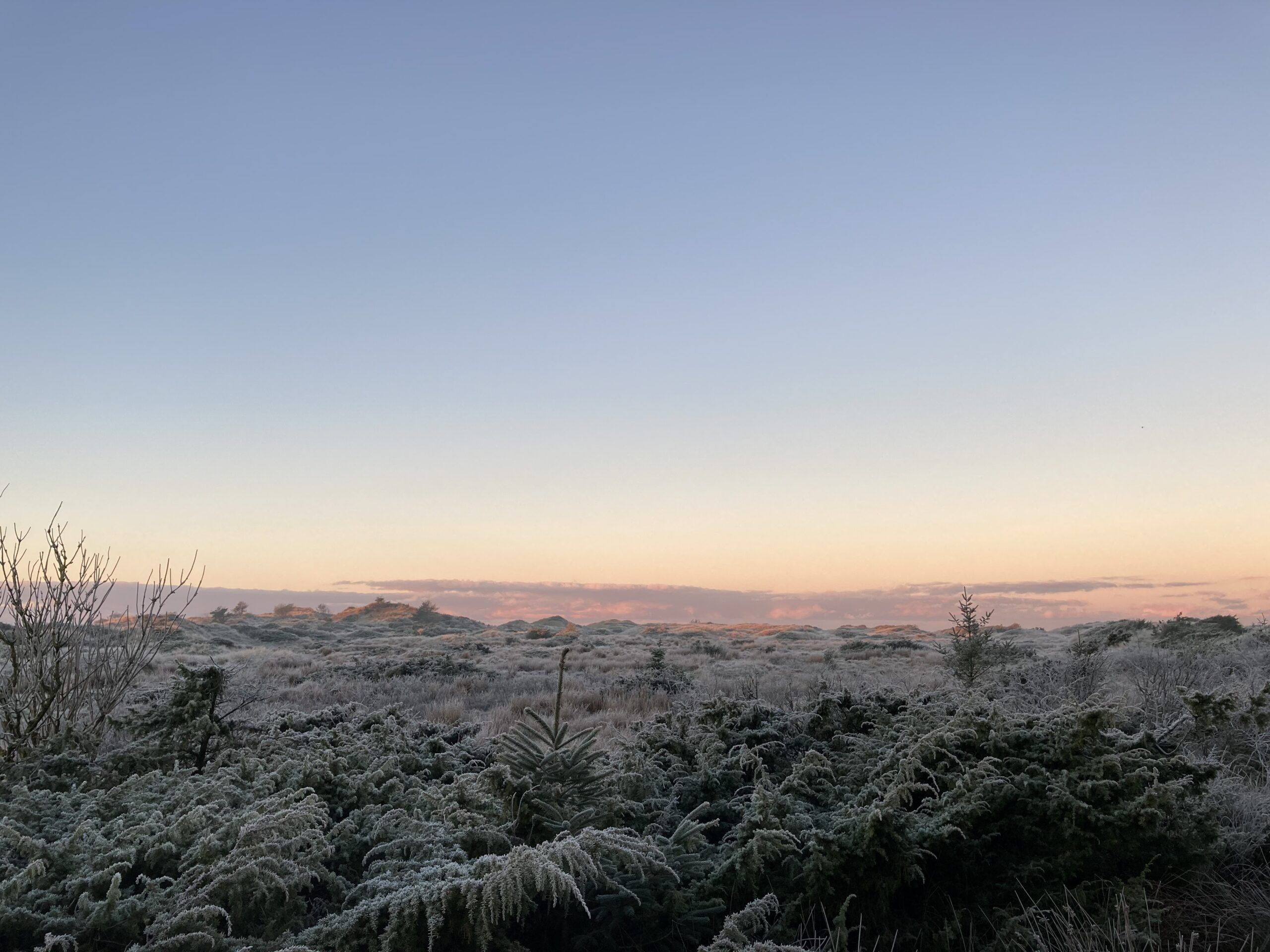 Solopgang 27/11-2020 i Tornby Klitplantage.