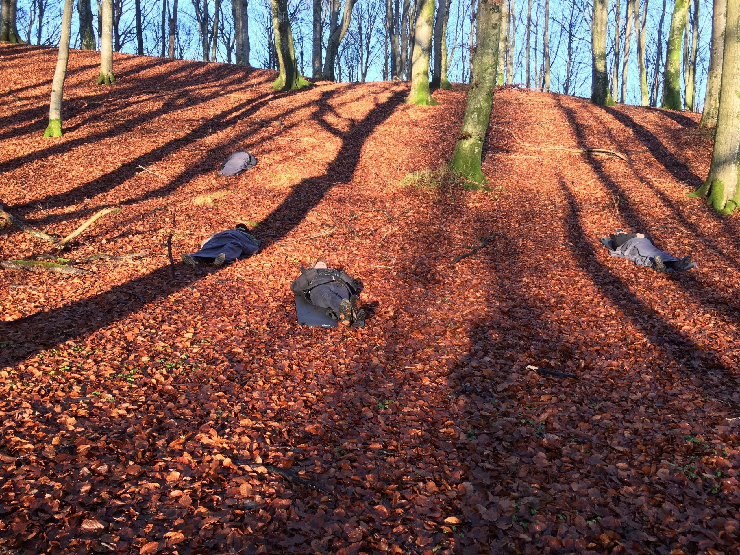 Naturterapi i Vendsyssel - Vildmandskursus, Rodfæste og En god start