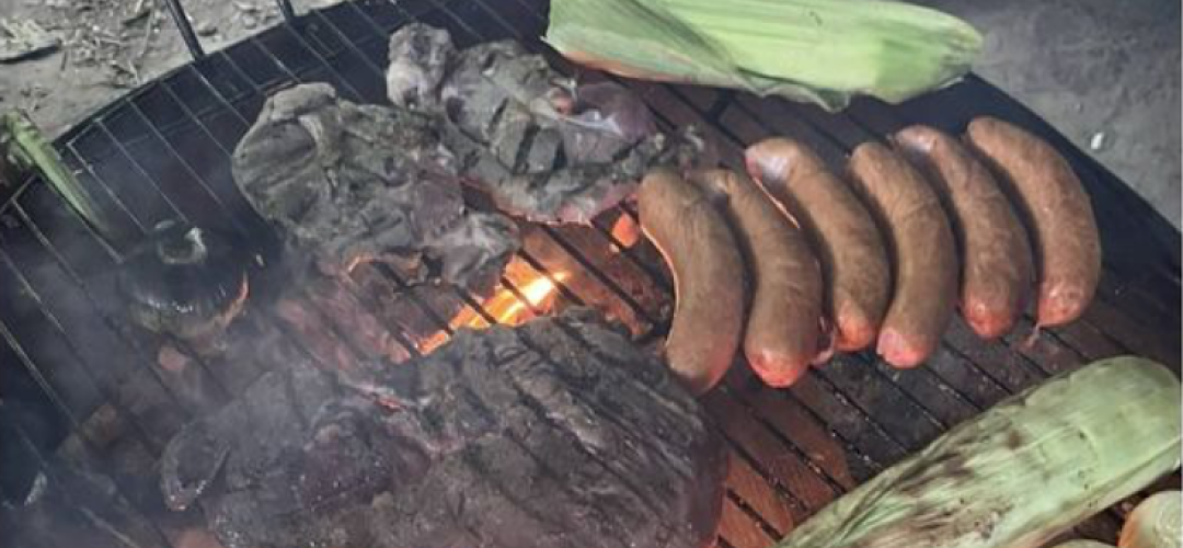 Snak og æd - Fællesskaber i naturen
