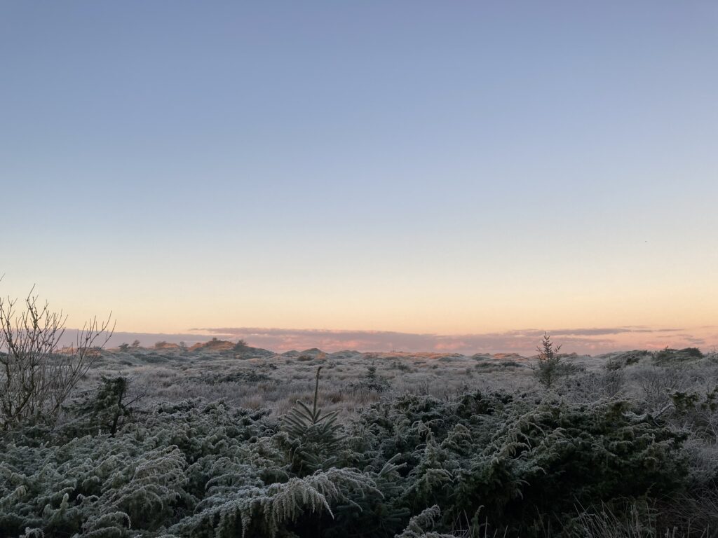 Solopgang 27/11-2020 i Tornby Klitplantage. 
