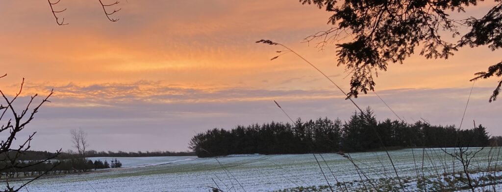 Solopgang 10. januar 2021