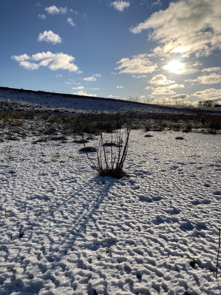 En kold februardag på engen ved bålhytten.