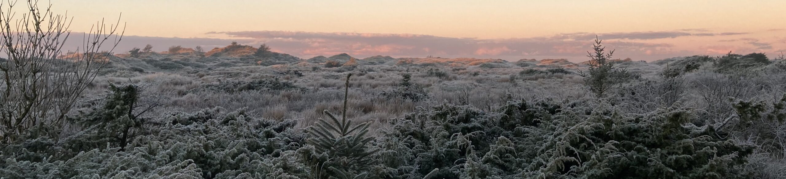 Vinter, advent, jul