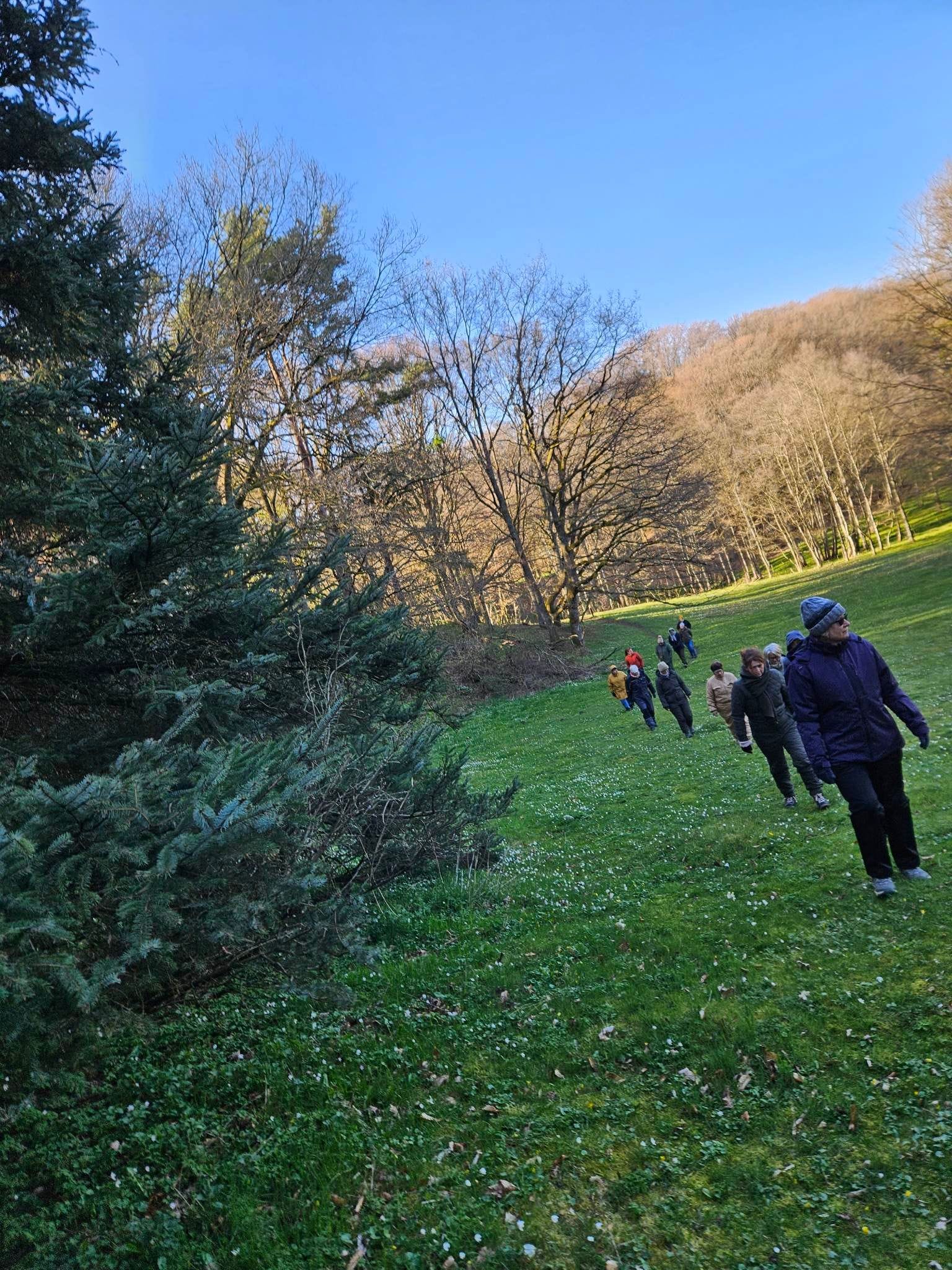 Rodfæste forår 2023 - Foreningen Jordforbindelsen