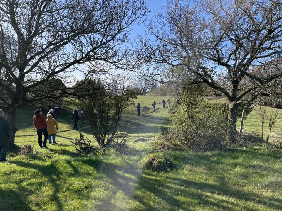 Rodfæste forår 2023 - Foreningen Jordforbindelsen