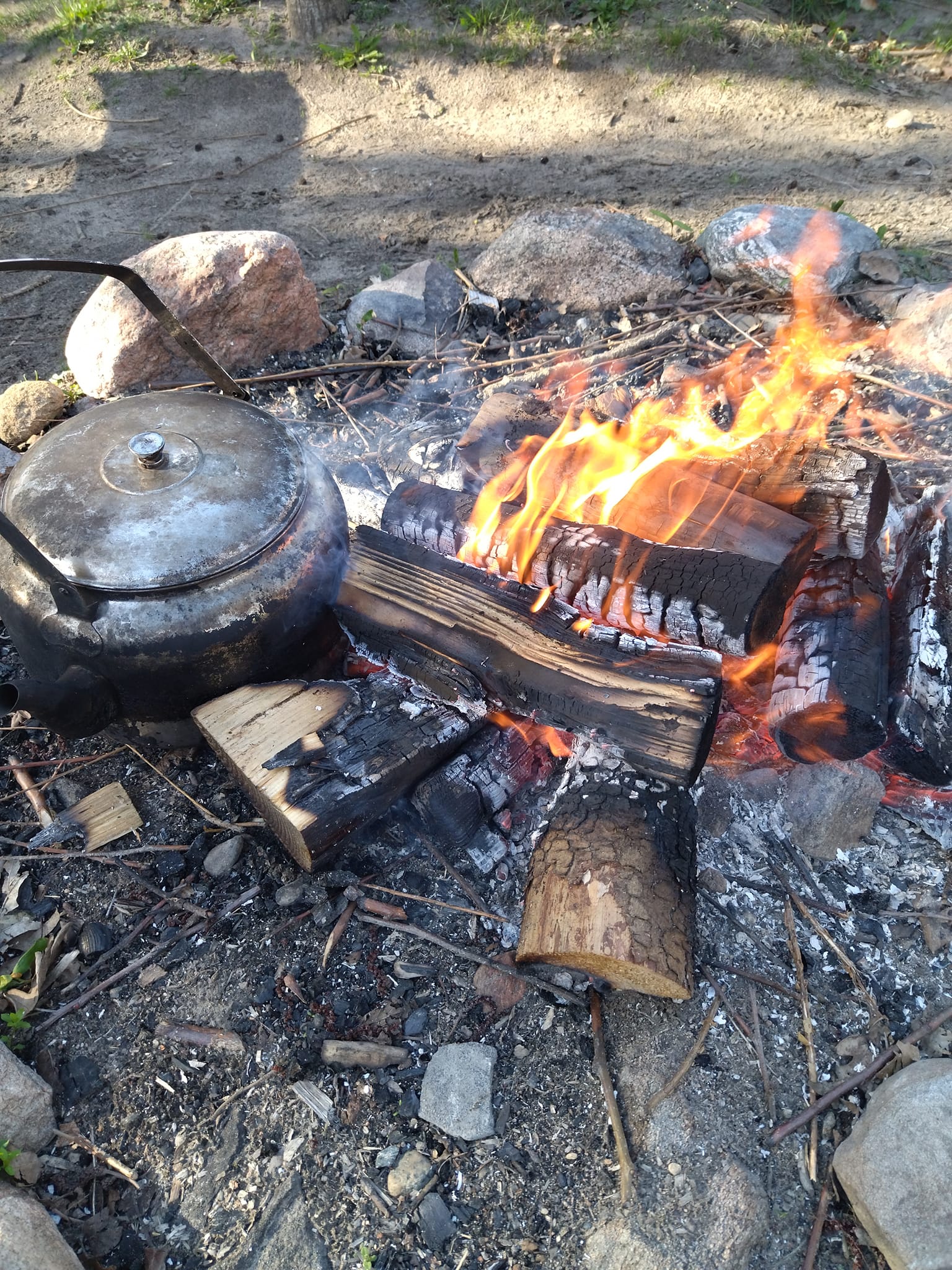 Rodfæste forår 2023 - Foreningen Jordforbindelsen