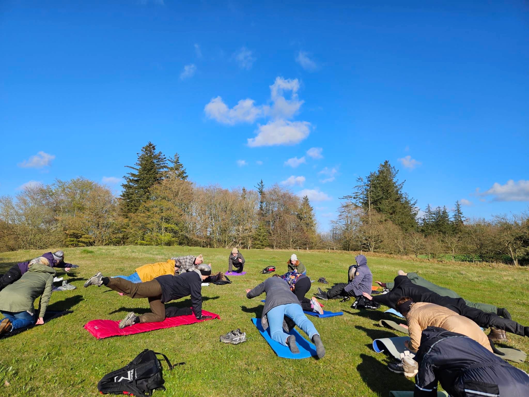 Rodfæste forår 2023 - Foreningen Jordforbindelsen