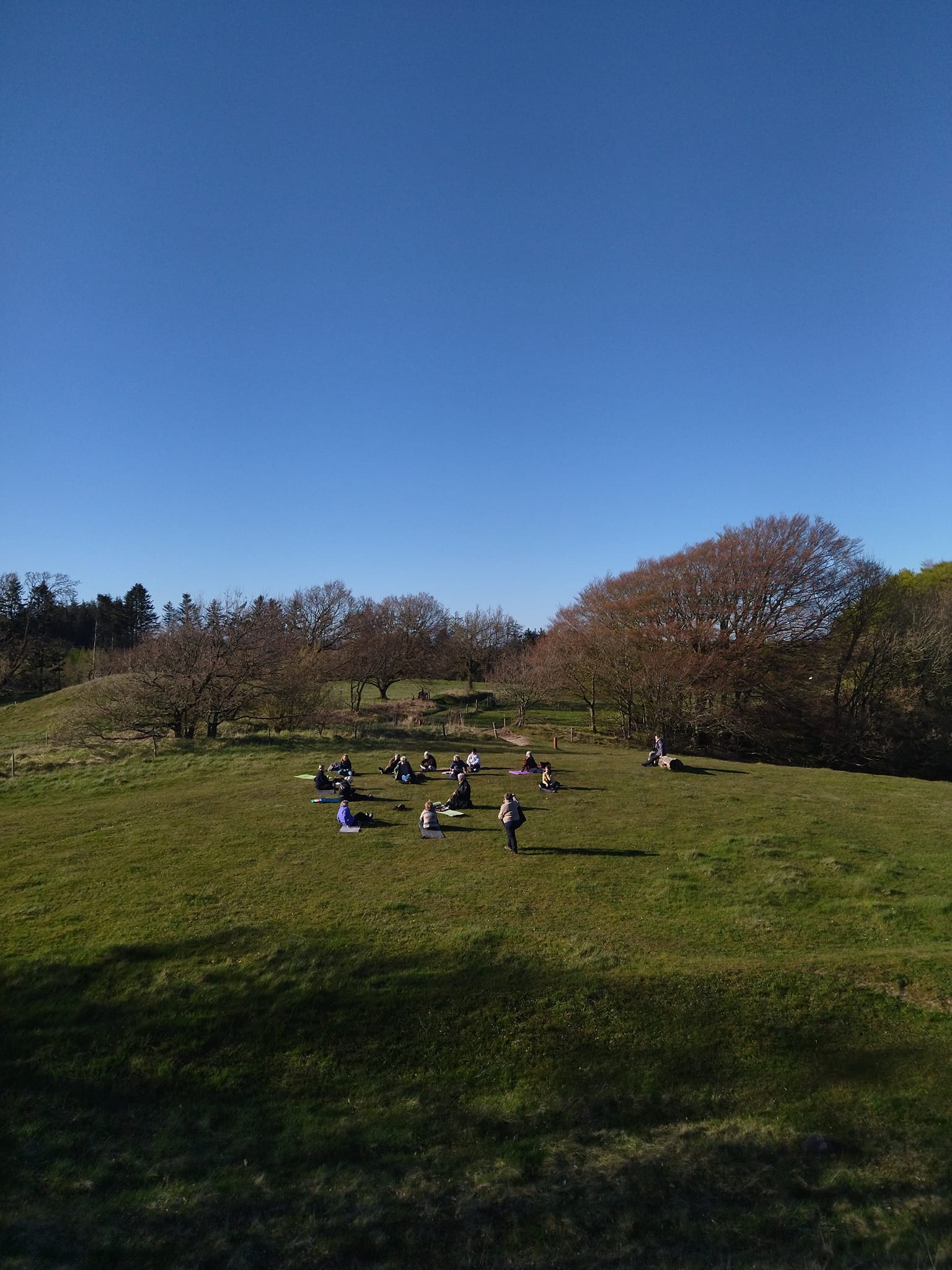 Rodfæste forår 2023 - Foreningen Jordforbindelsen