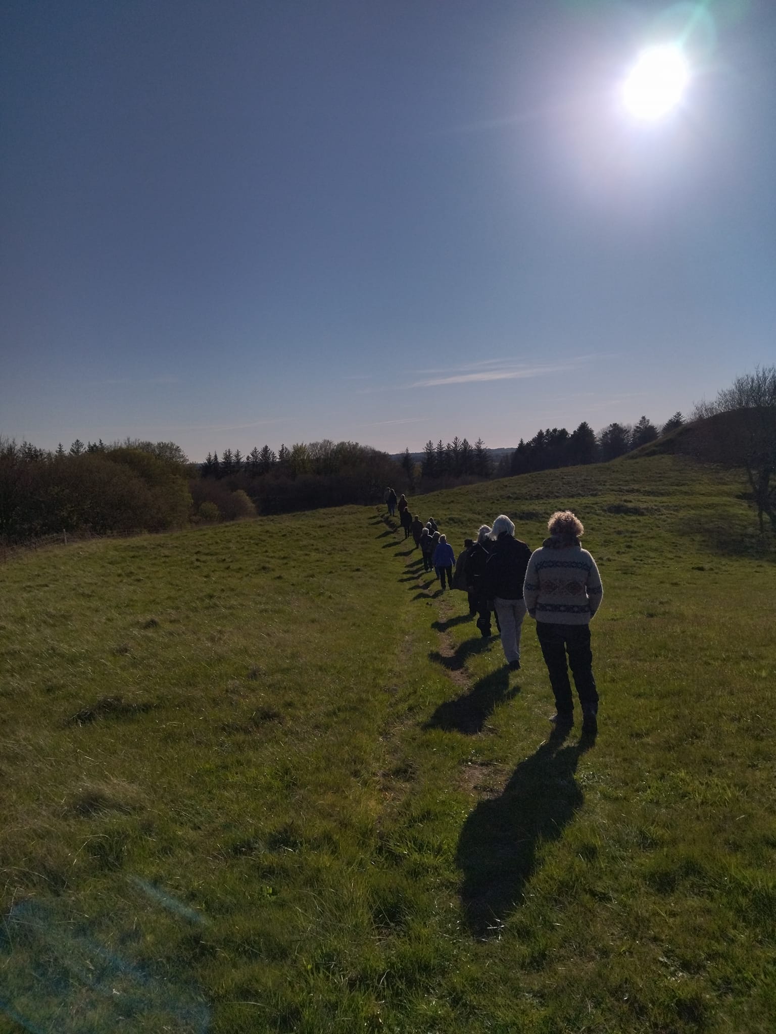 Rodfæste forår 2023 - Foreningen Jordforbindelsen