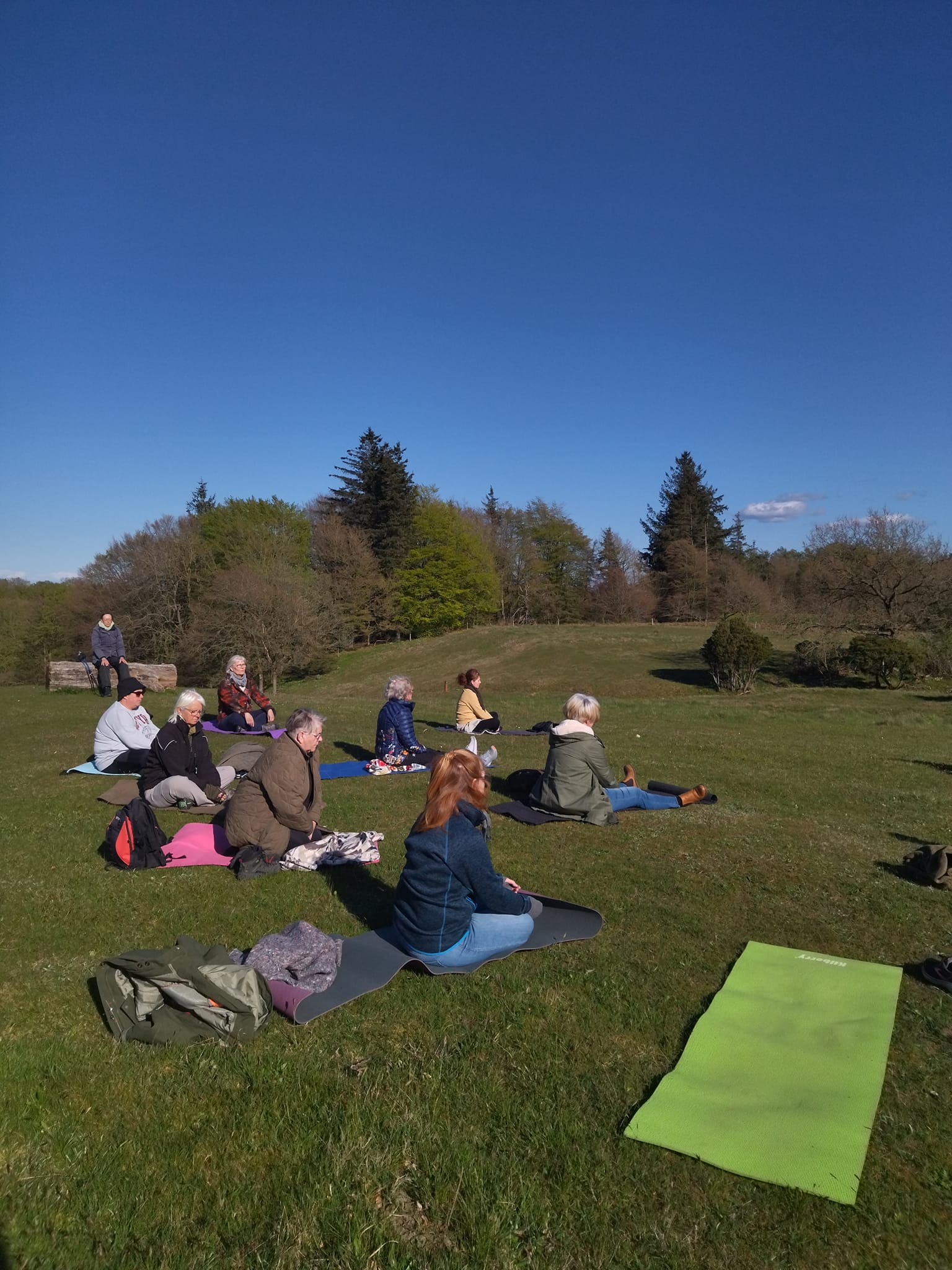 Rodfæste forår 2023 - Foreningen Jordforbindelsen