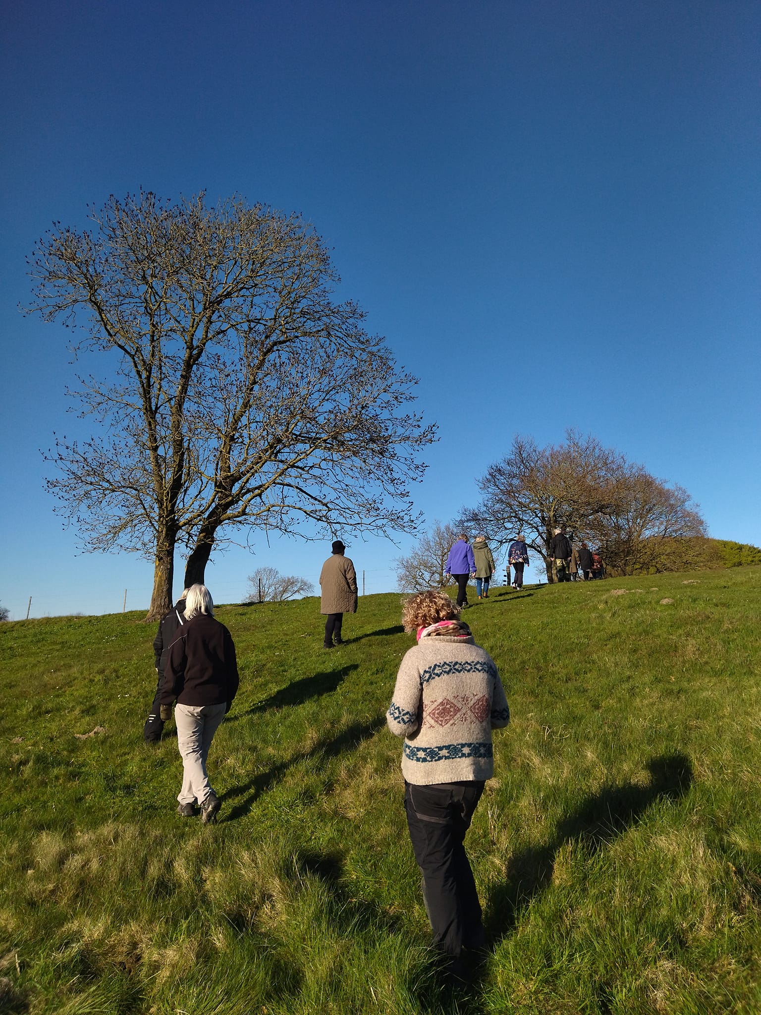 Rodfæste forår 2023 - Foreningen Jordforbindelsen
