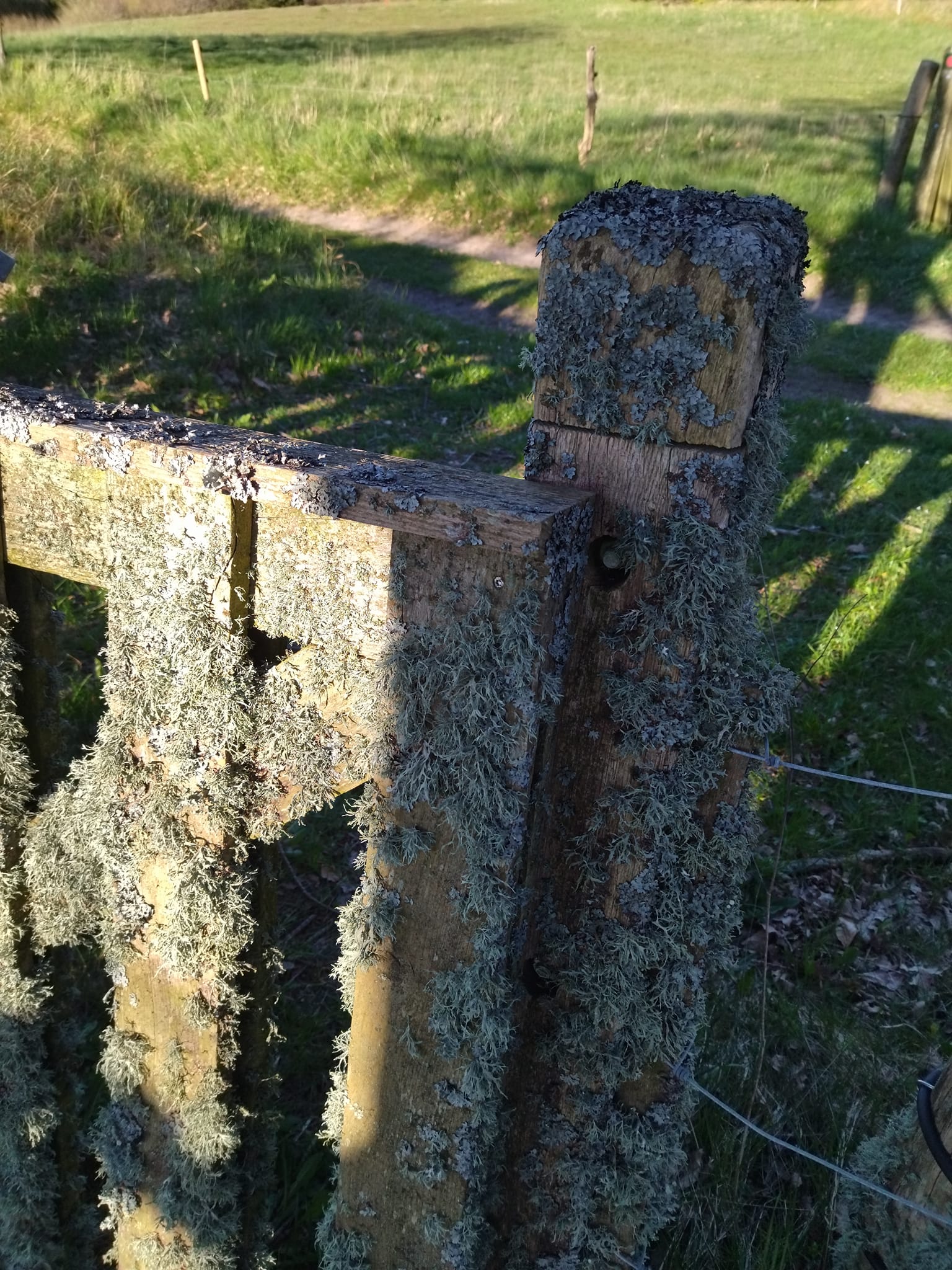 Rodfæste forår 2023 - Foreningen Jordforbindelsen