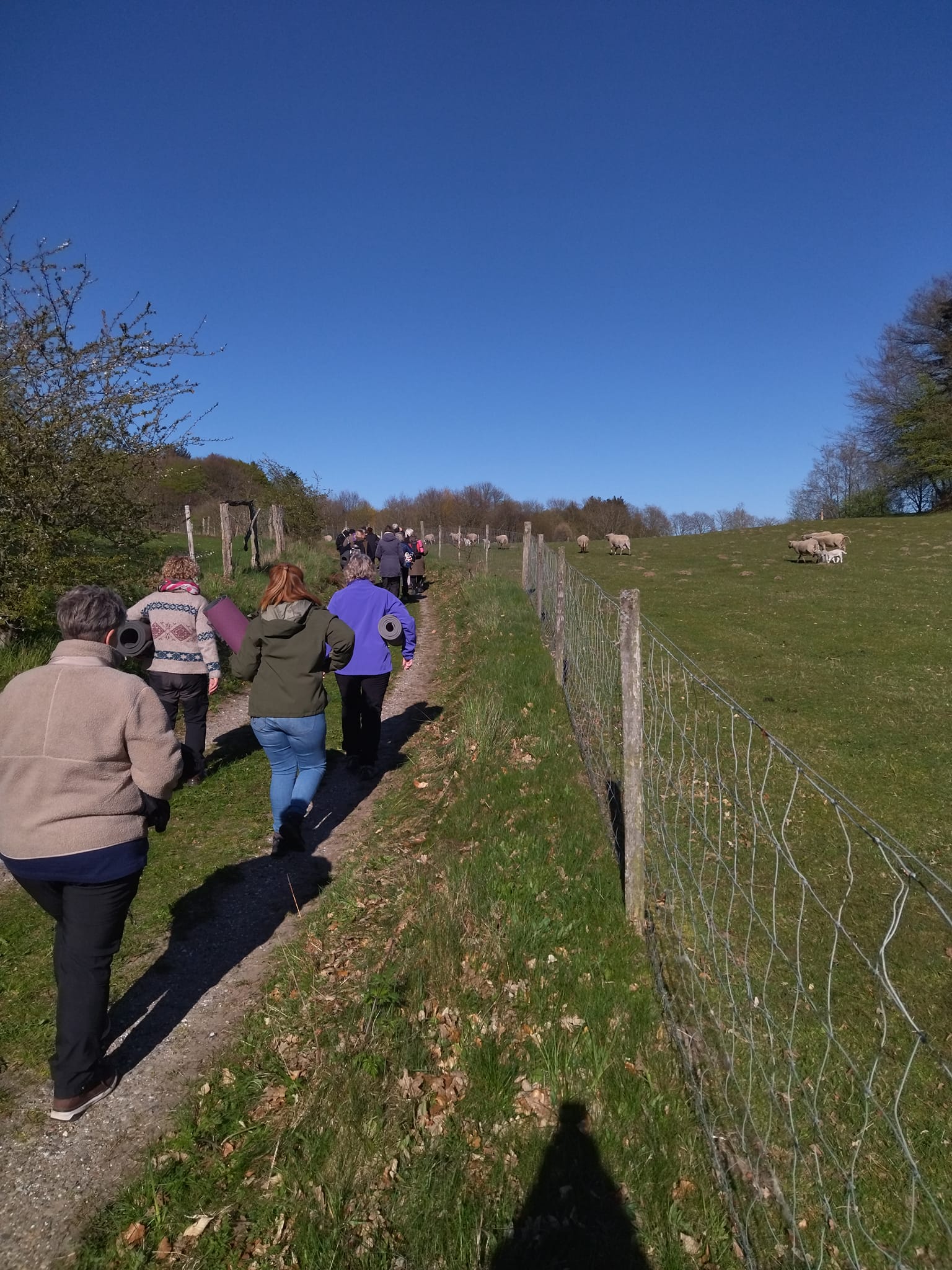 Rodfæste forår 2023 - Foreningen Jordforbindelsen