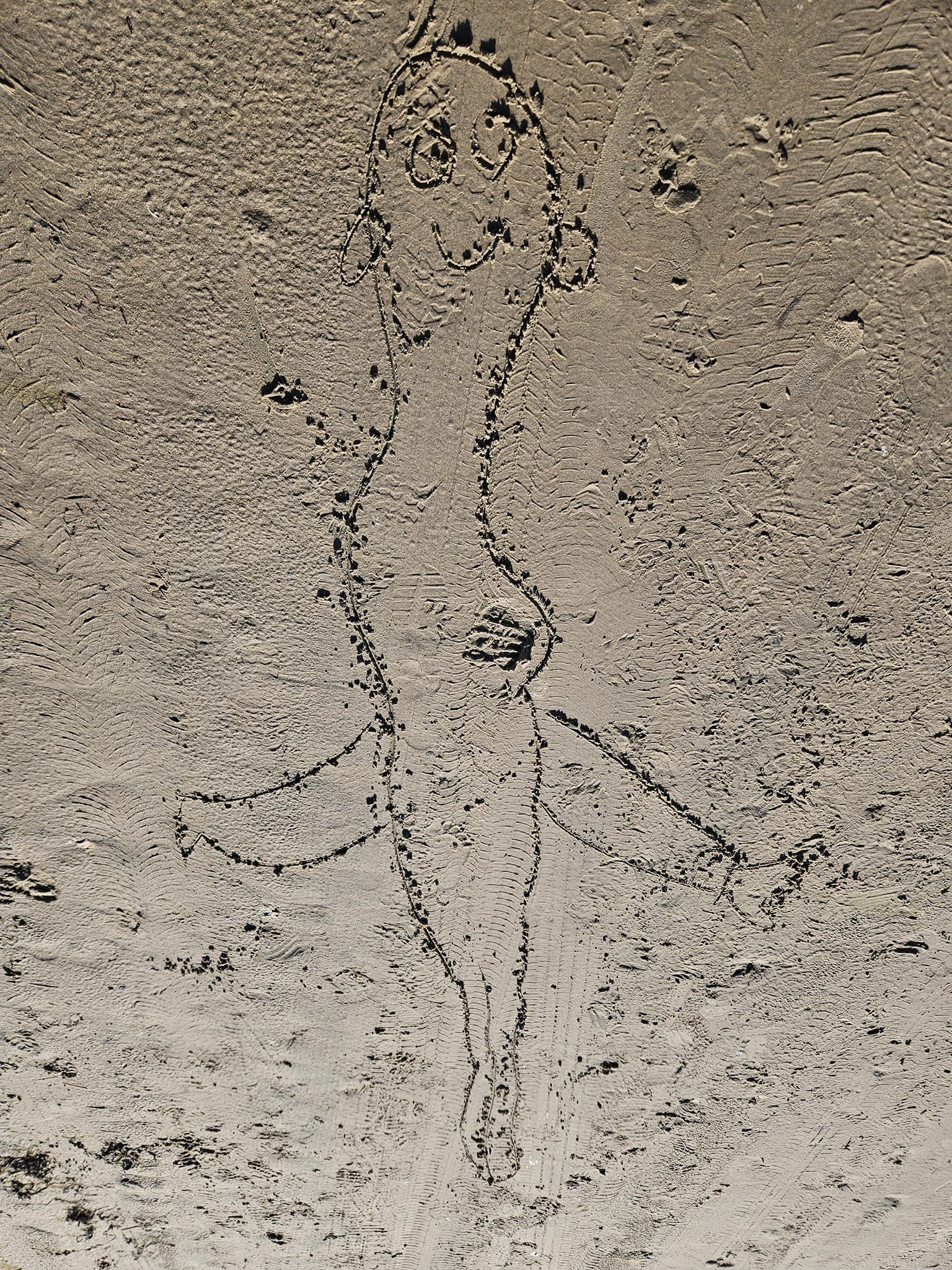 Rodfæste forår 2023 - Foreningen Jordforbindelsen