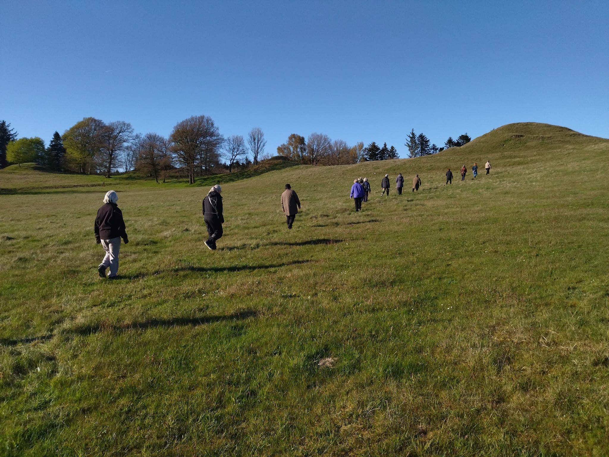 Rodfæste forår 2023 - Foreningen Jordforbindelsen