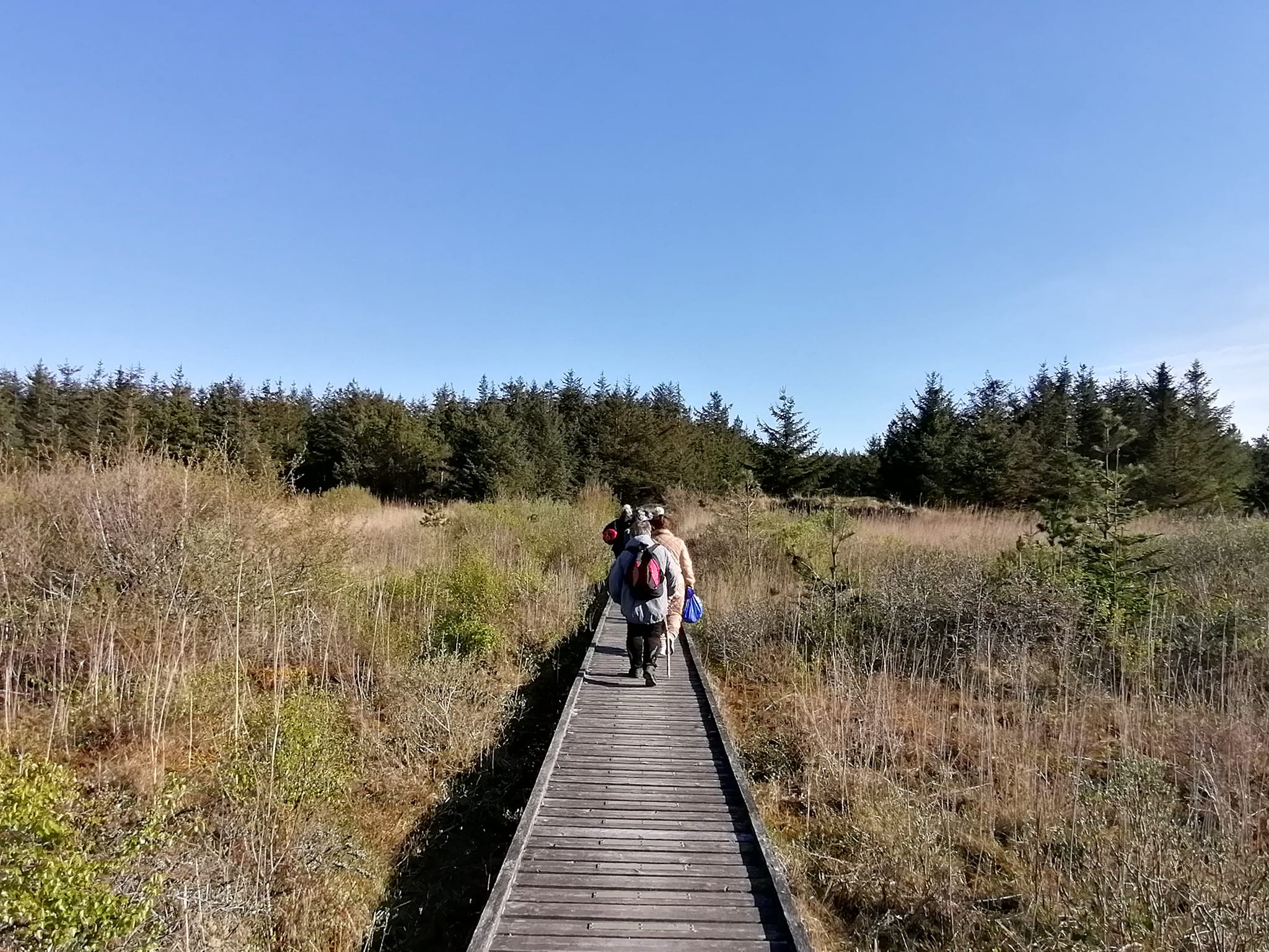 Rodfæste forår 2023 - Foreningen Jordforbindelsen