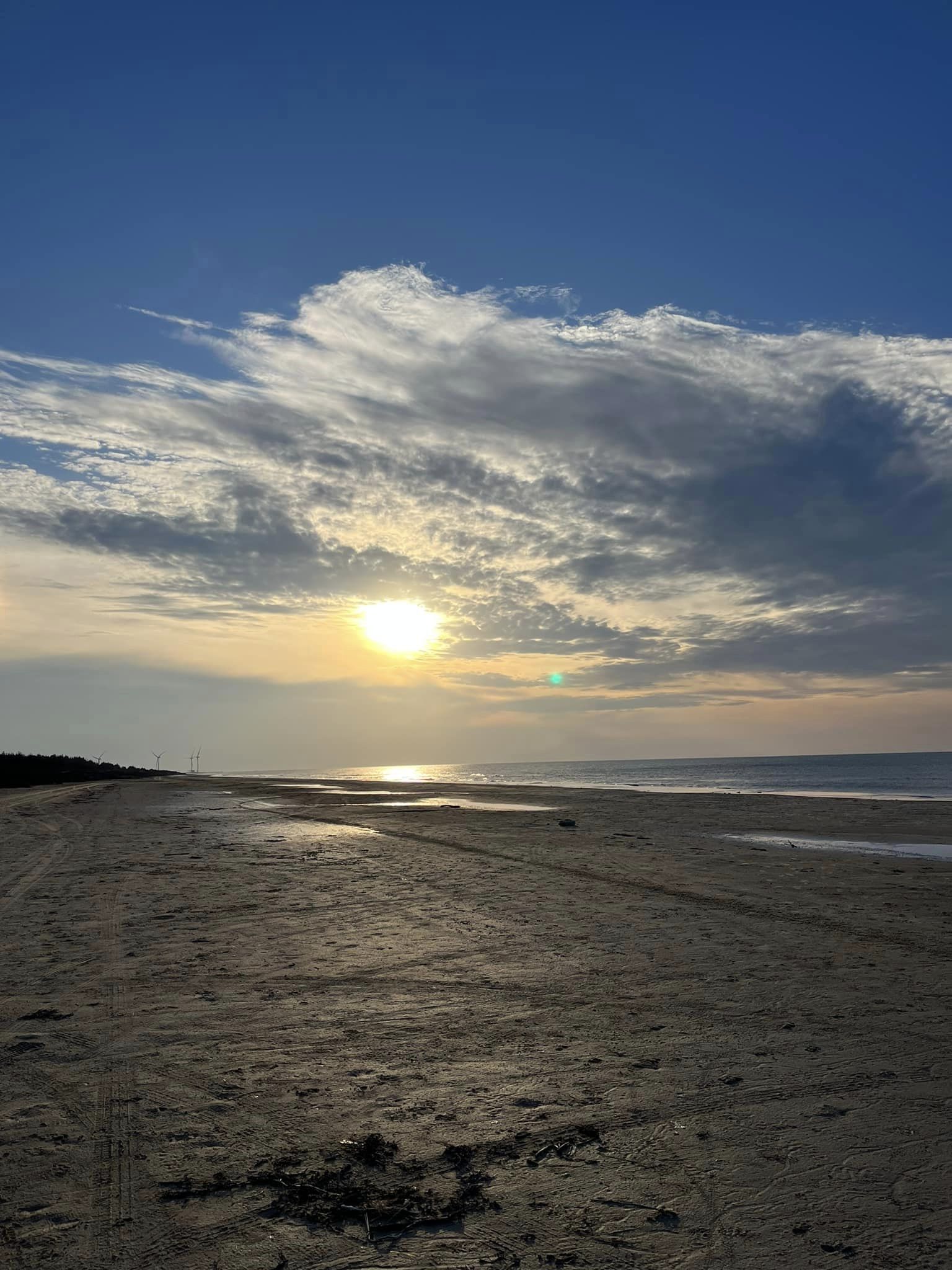 Rodfæste forår 2023 - Foreningen Jordforbindelsen