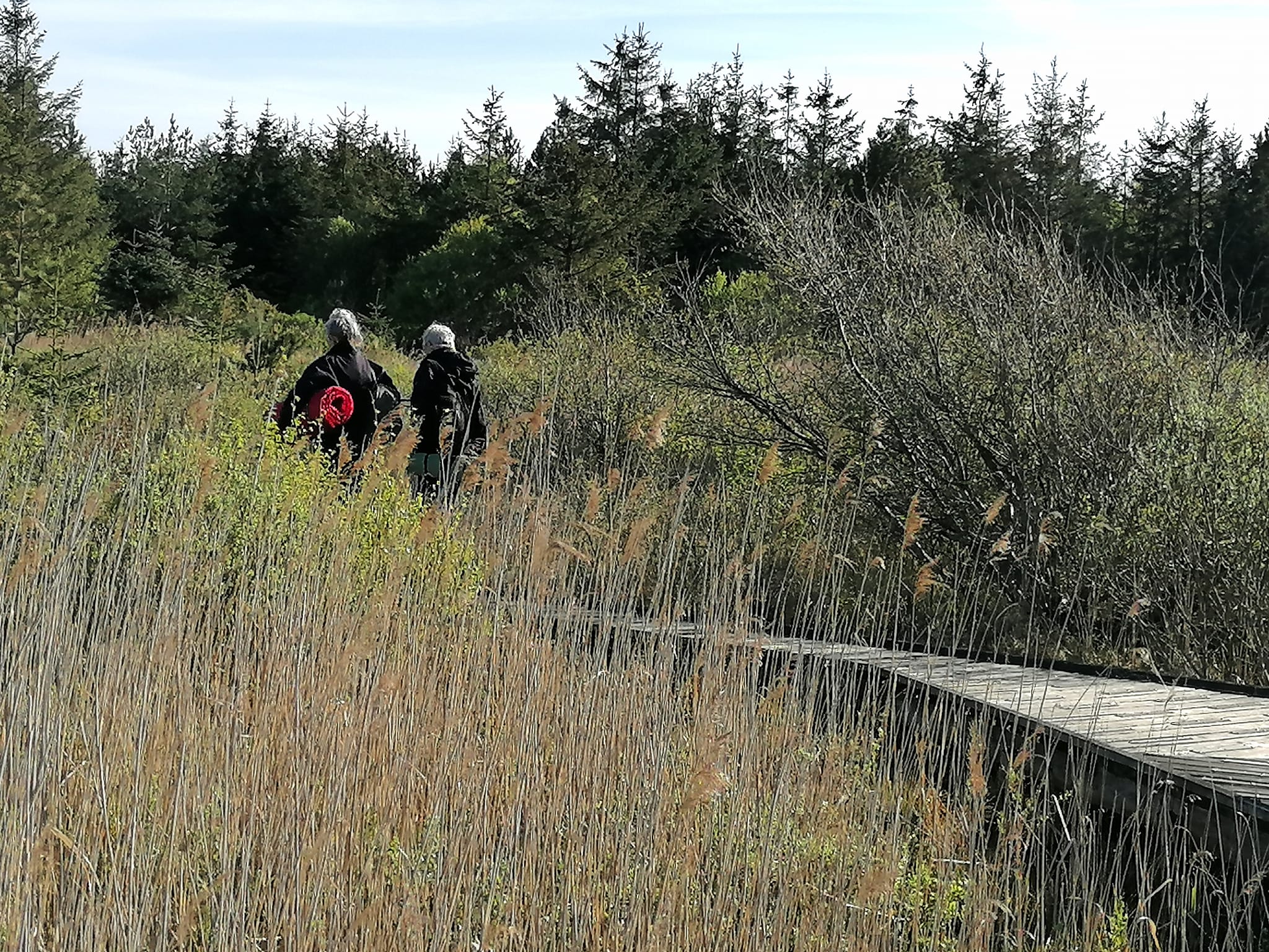 Rodfæste forår 2023 - Foreningen Jordforbindelsen