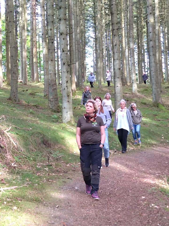 Rodfæste forår 2023 - Foreningen Jordforbindelsen