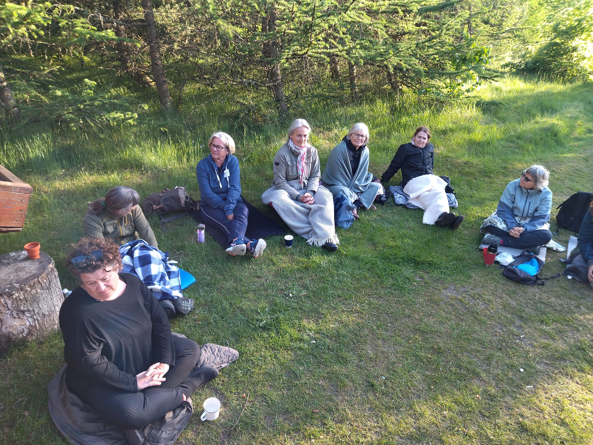 Rodfæste forår 2023 - Foreningen Jordforbindelsen