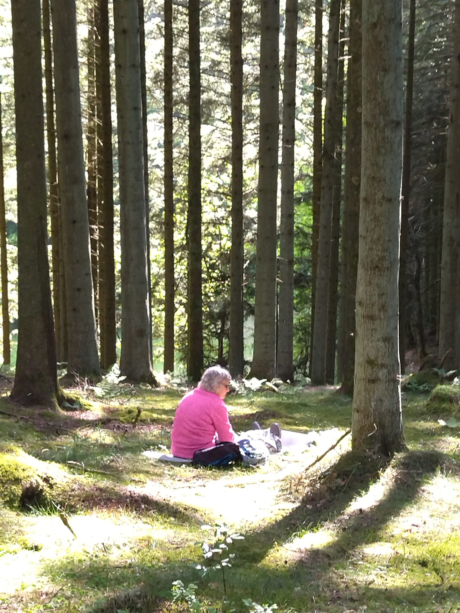 Rodfæste forår 2023 - Foreningen Jordforbindelsen