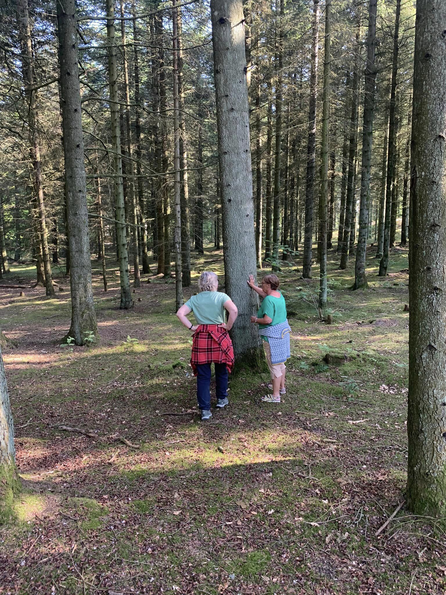 Rodfæste forår 2023 - Foreningen Jordforbindelsen