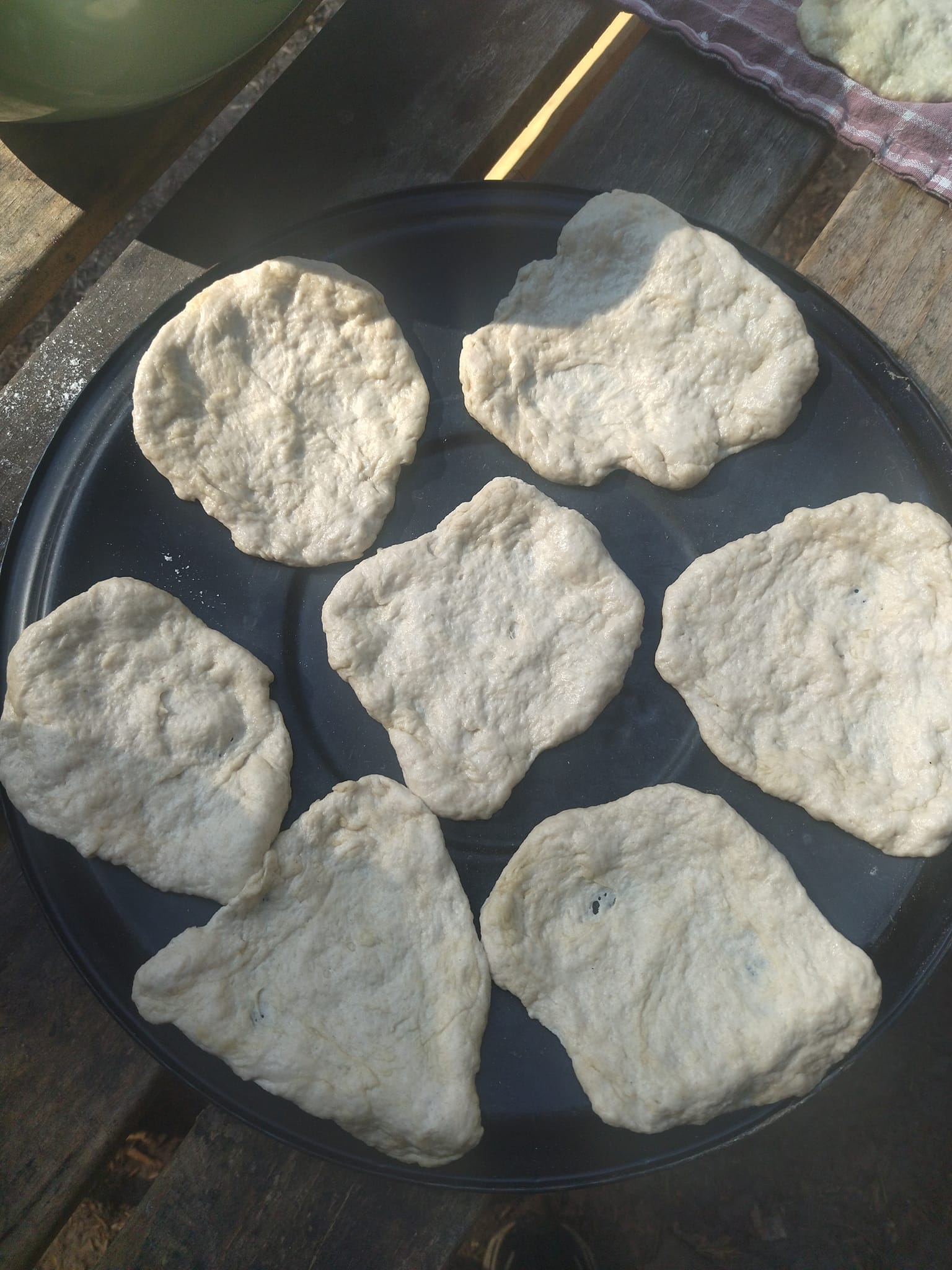 Rodfæste forår 2023 - Foreningen Jordforbindelsen