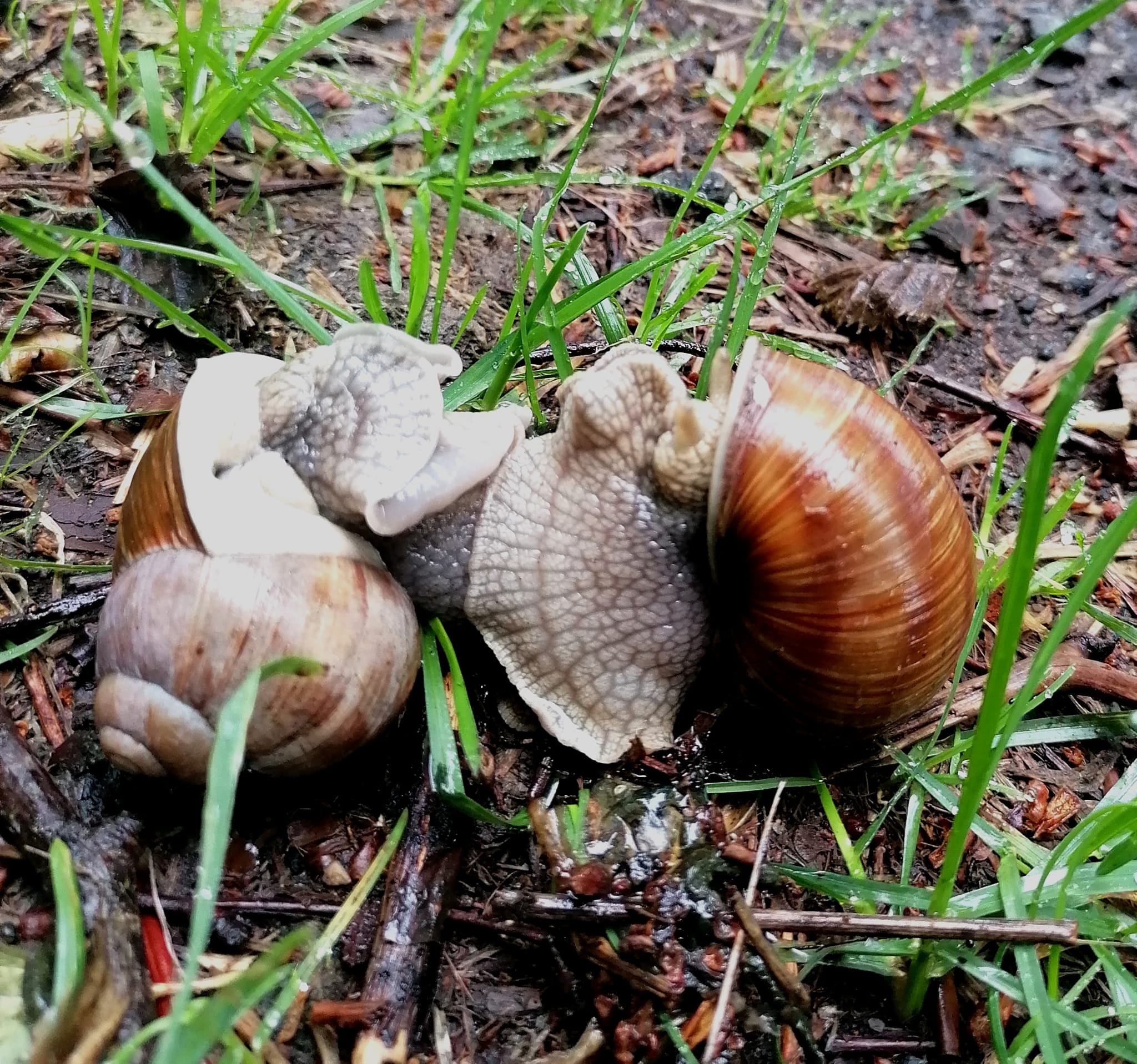 Sommerafslutning 2023