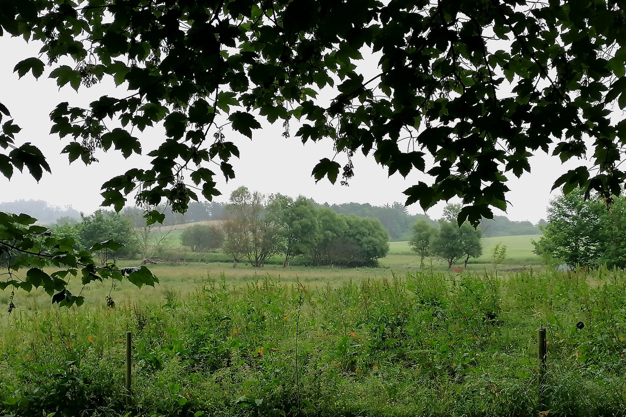 Sommerafslutning 2023