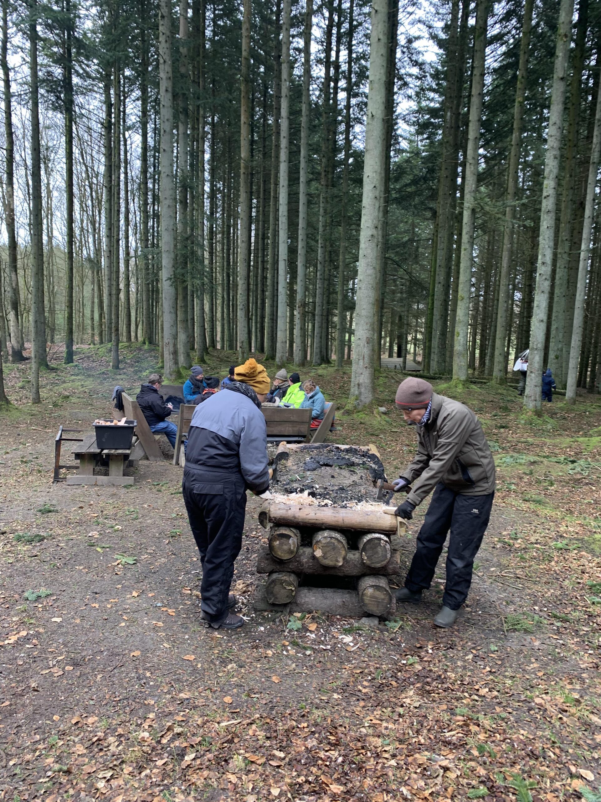 En vILD dag i skoven 6