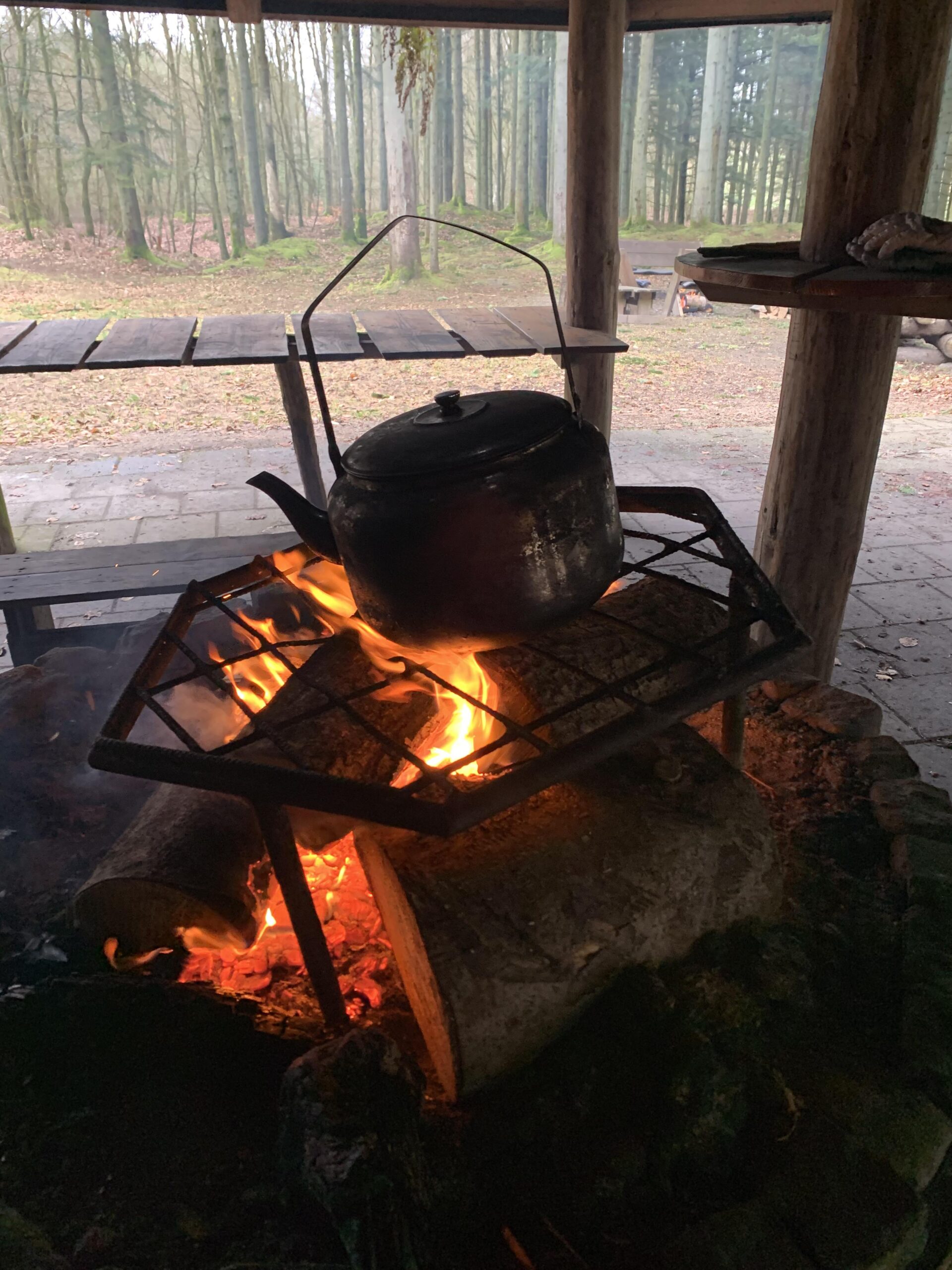 En vILD dag i skoven 5