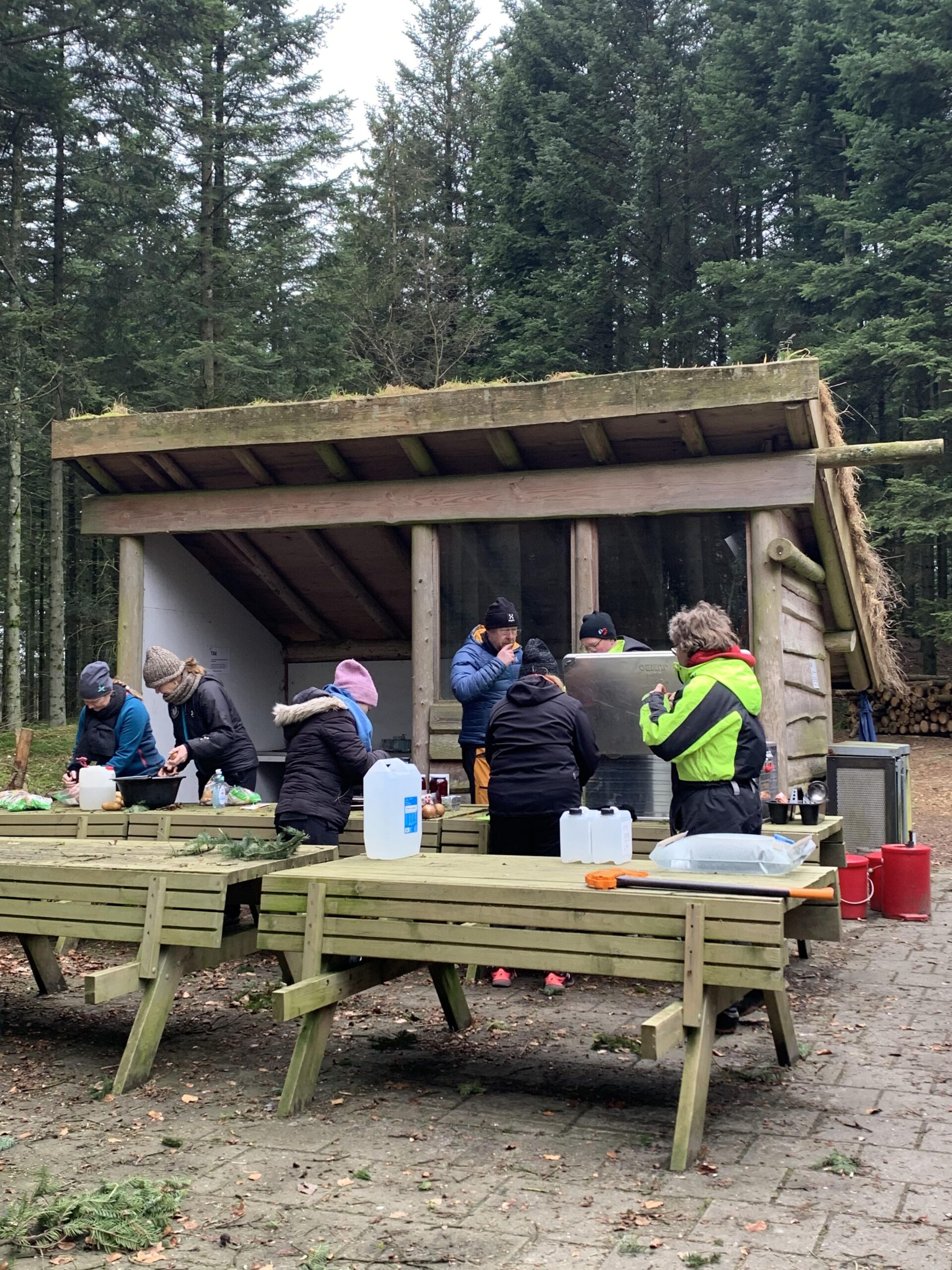 En vILD dag i skoven 7