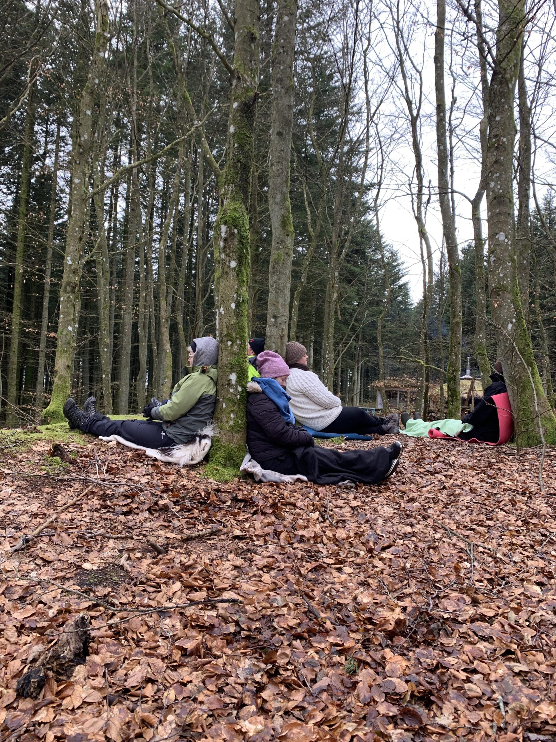 En vILD dag i skoven 13